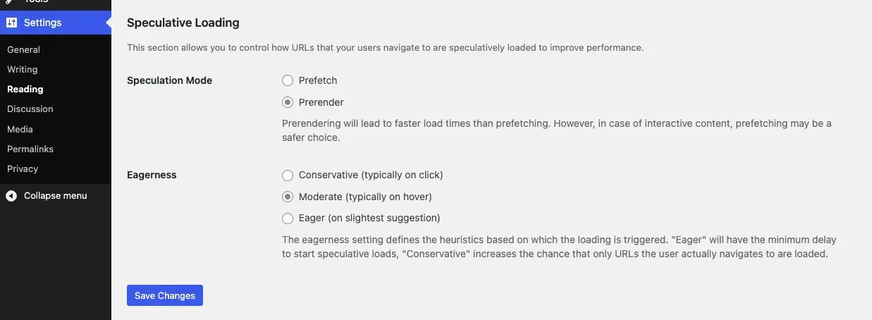 Speculative loading settings page