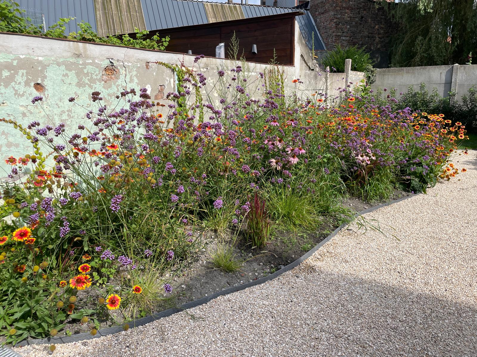 Een mediterrane tuin met olijfbomen, lavendelstruiken en een betegeld terras, aangelegd door Intergreen Tuinen.