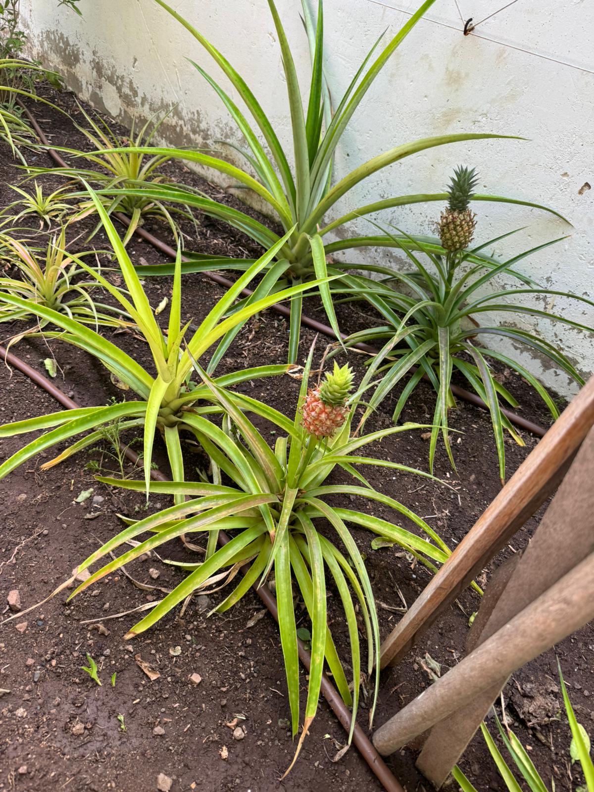 person surfing on sea waves during daytime