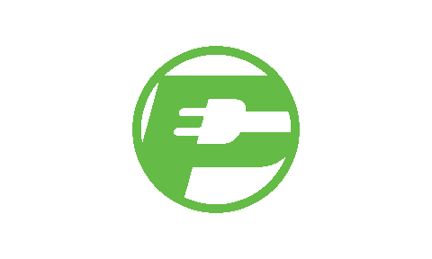 PayMore Favicon