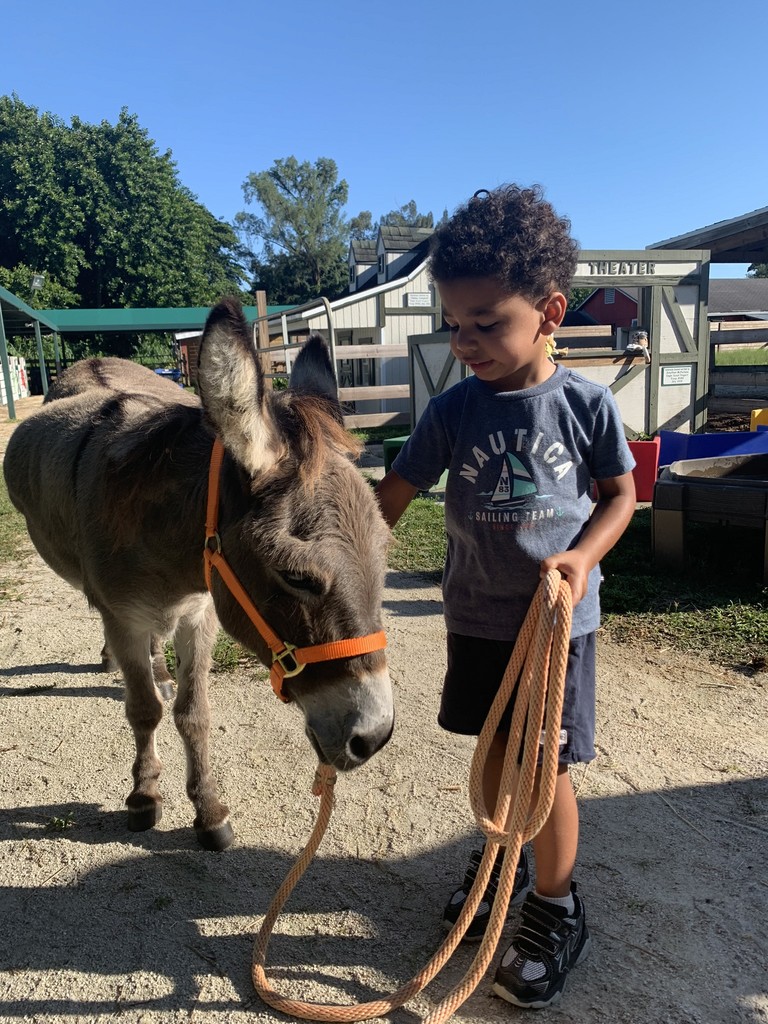 Young boy with a donkey on Tomorrow's Rainbow mini ranch