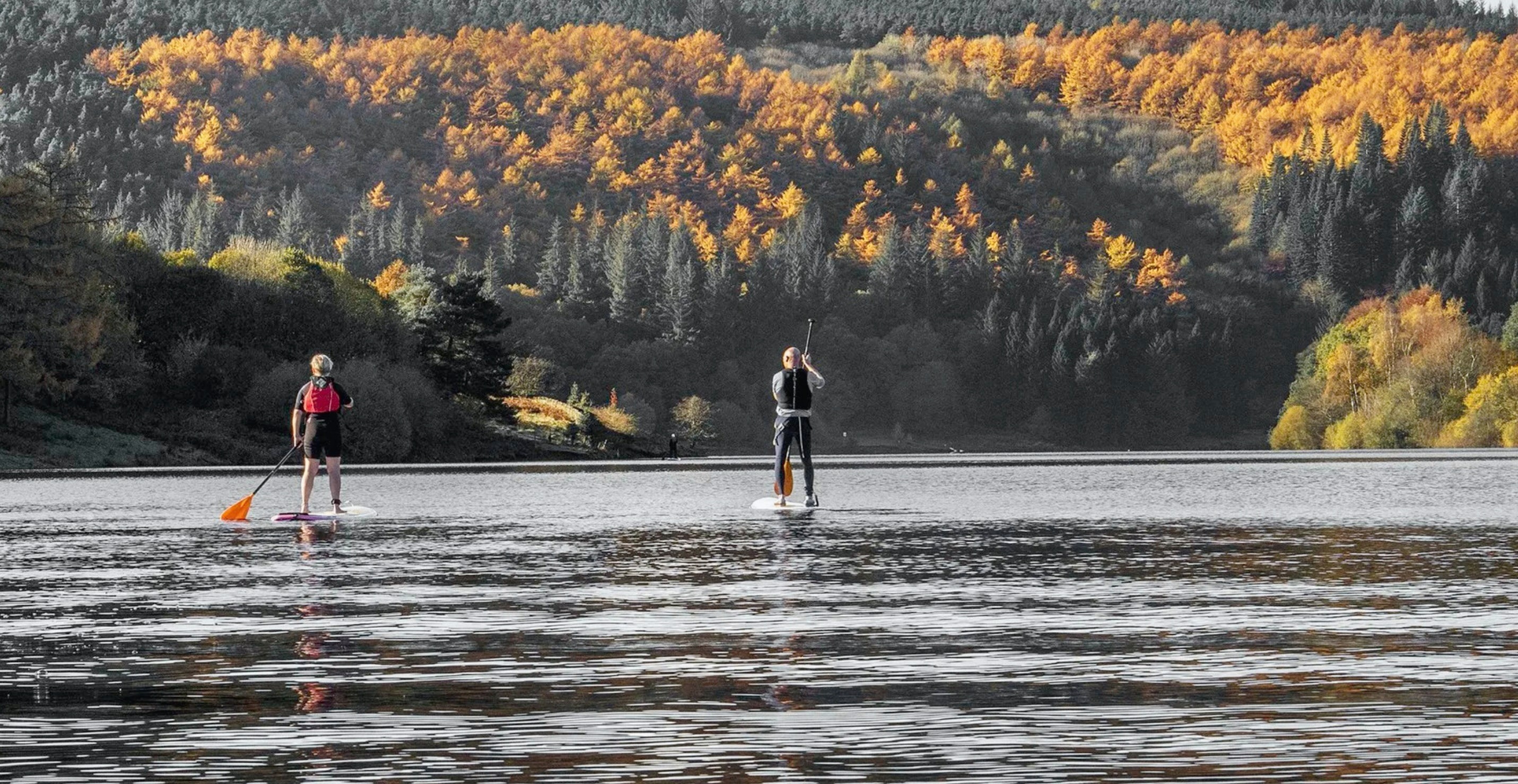 Banking Card in Folk