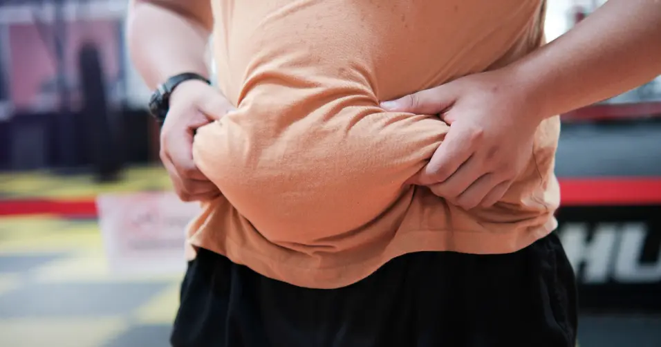 Subcutaneous fat is fat stored under the skin for insulation and energy.