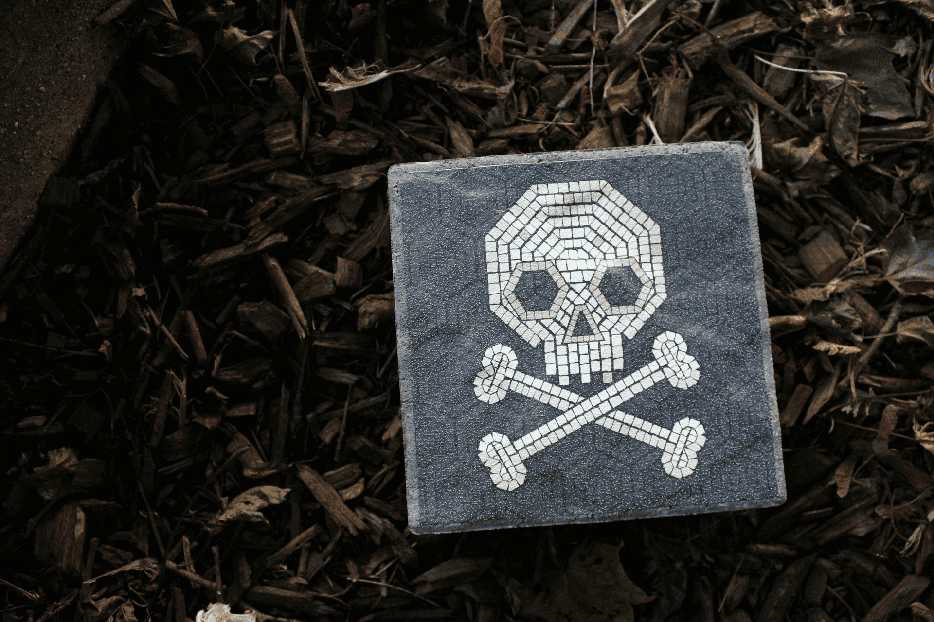 best-of-pwnedcr-0x08 (https://unsplash.com/photos/a-stone-with-a-skull-and-crossbones-painted-on-it-FKMaGGPIio0)