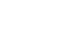 Cyberark logo