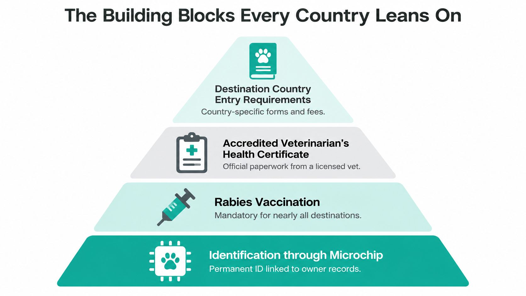 A pyramid diagram displaying four essential requirements for international pet travel, including microchipping, rabies vaccination, health certificates, and entry forms.