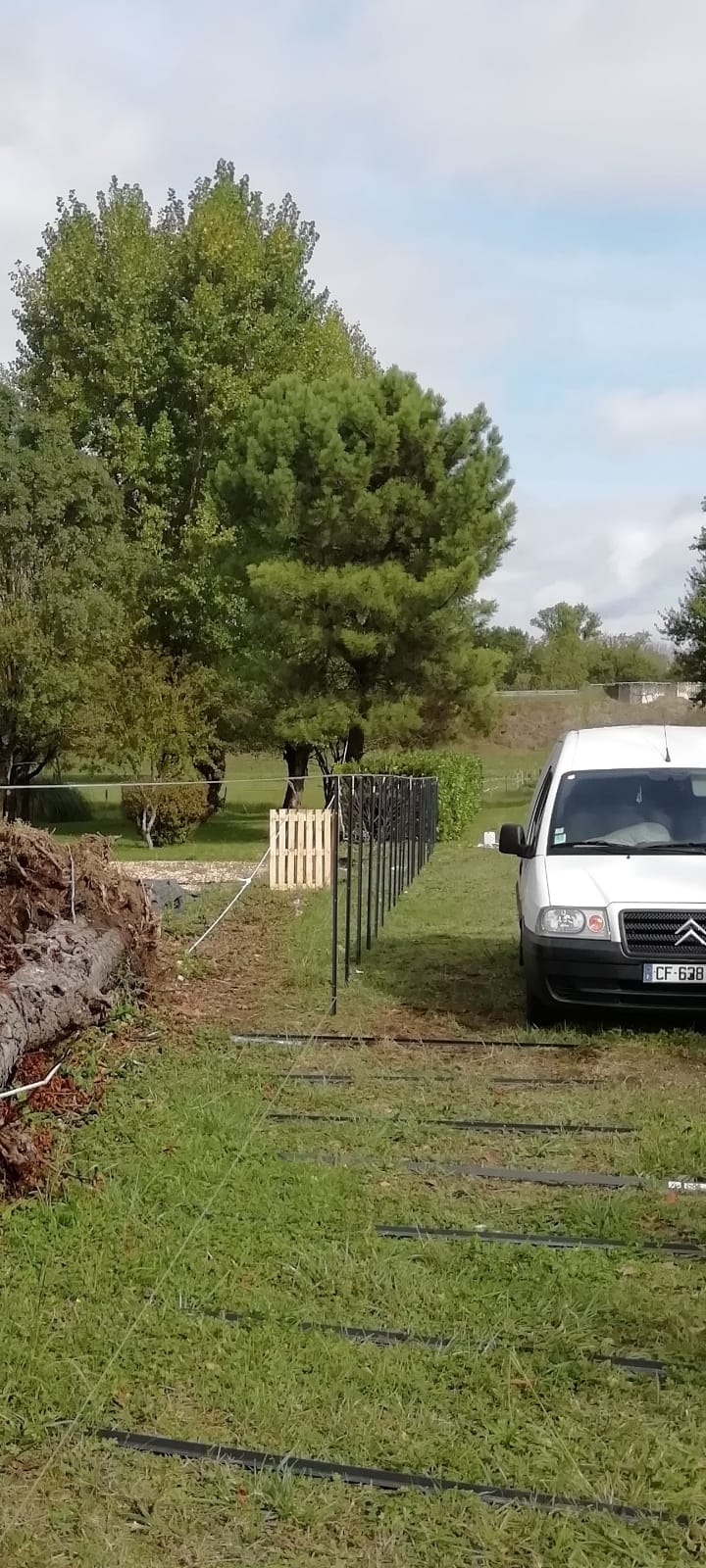 close up sur un pot de fleur rouge