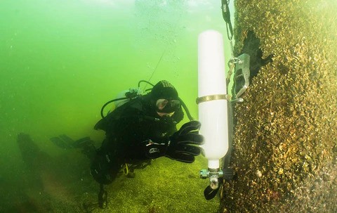 Diver with Blumags magnet