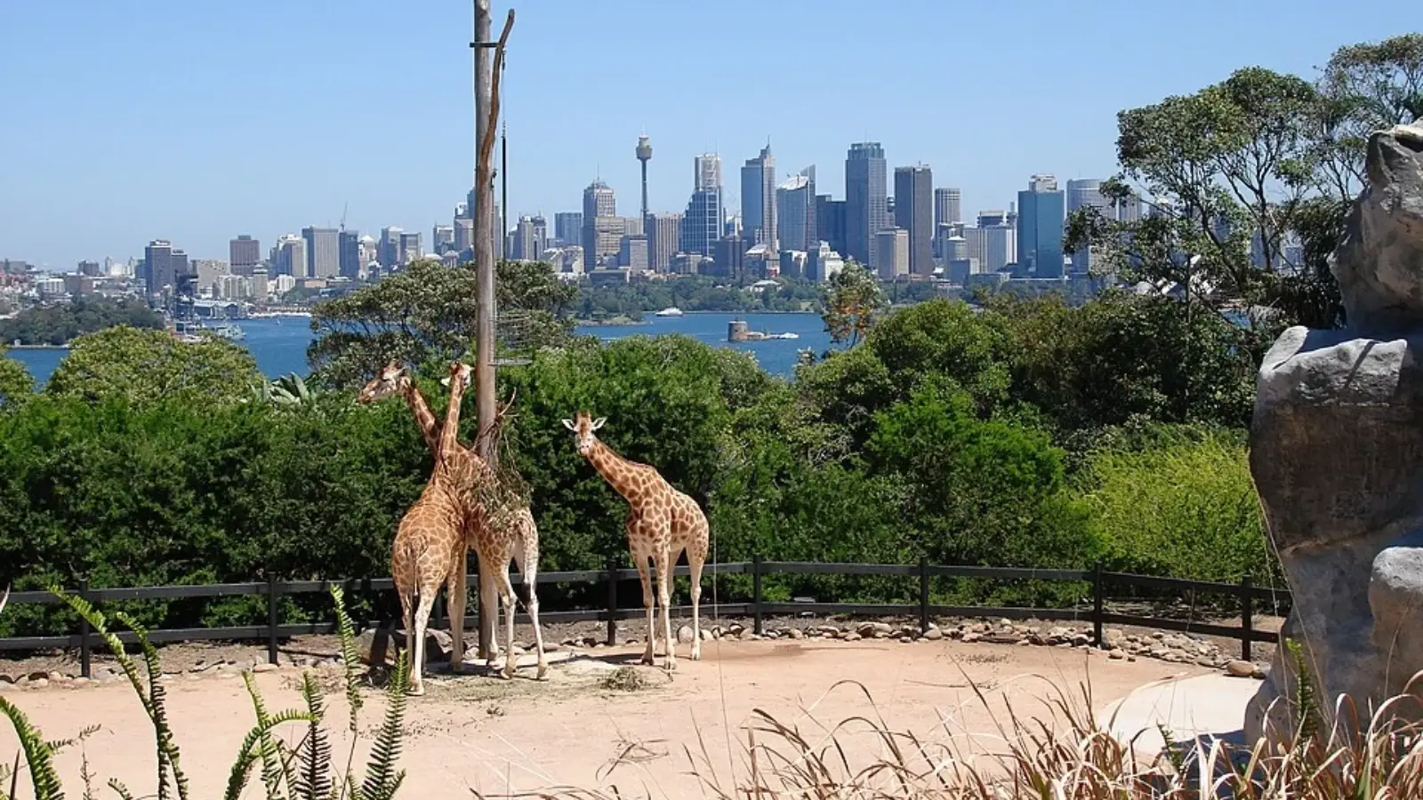 Taronga Zoo