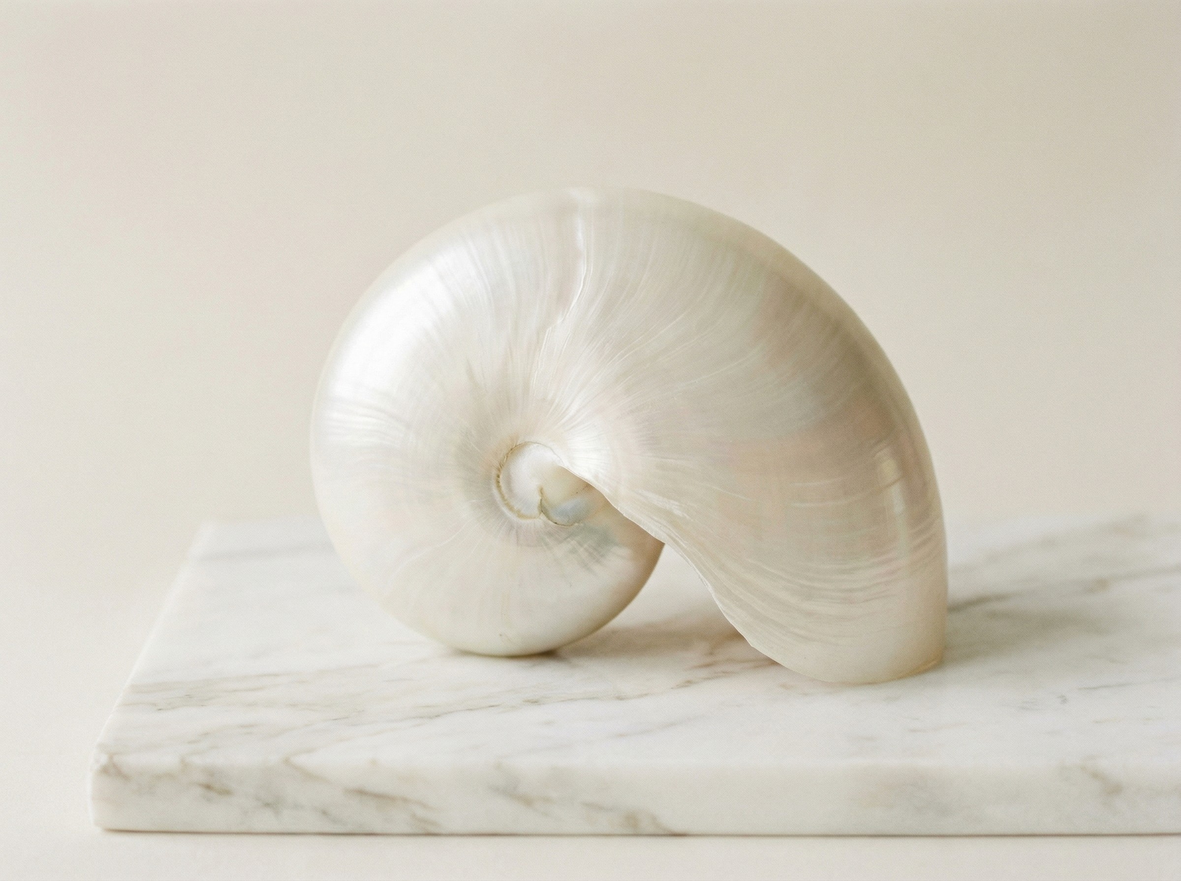 A cozy scene with warm sunlight casting stripes, featuring a potted plant and soft towels on a window sill.