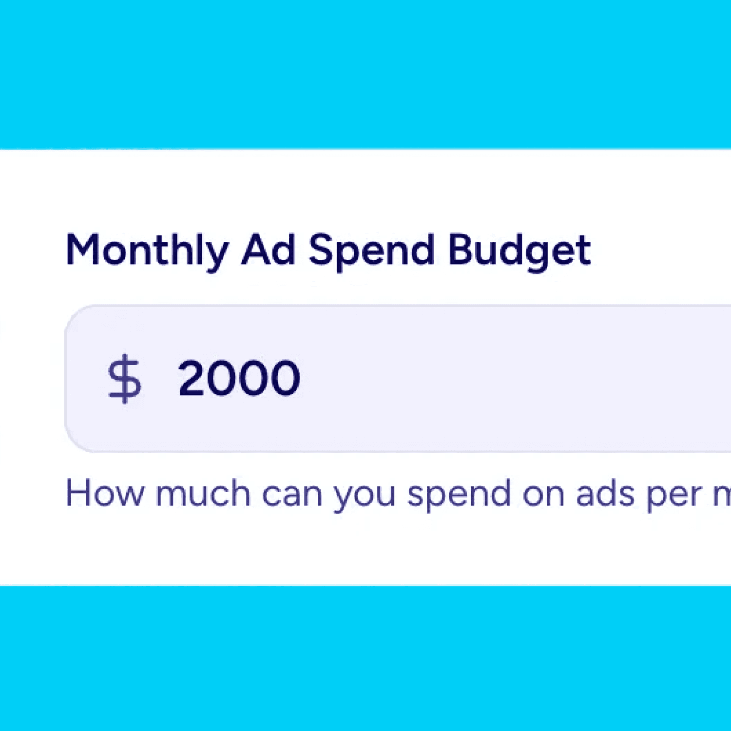 Facebook Ads ROI Calculator