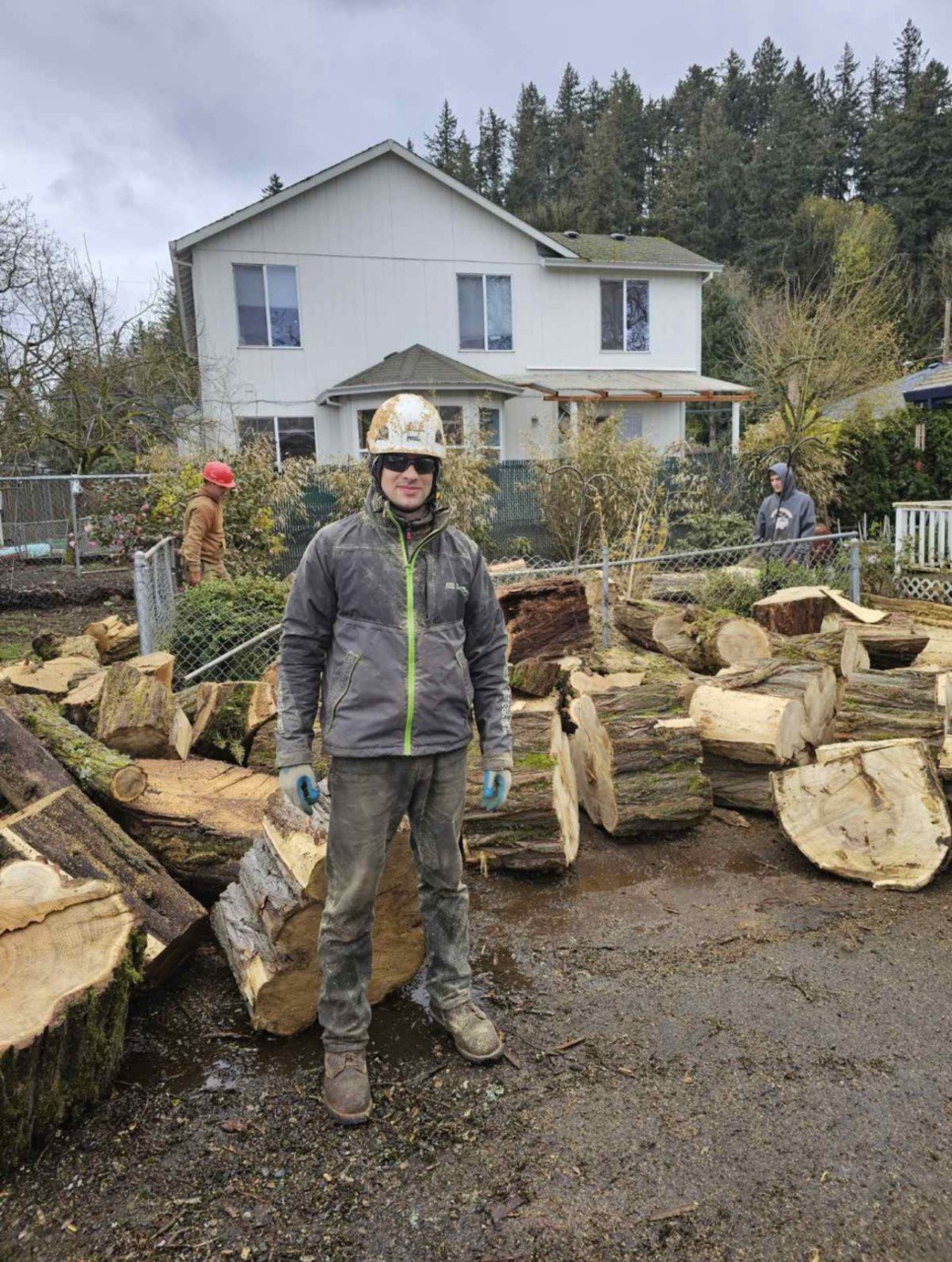 Tree Removal