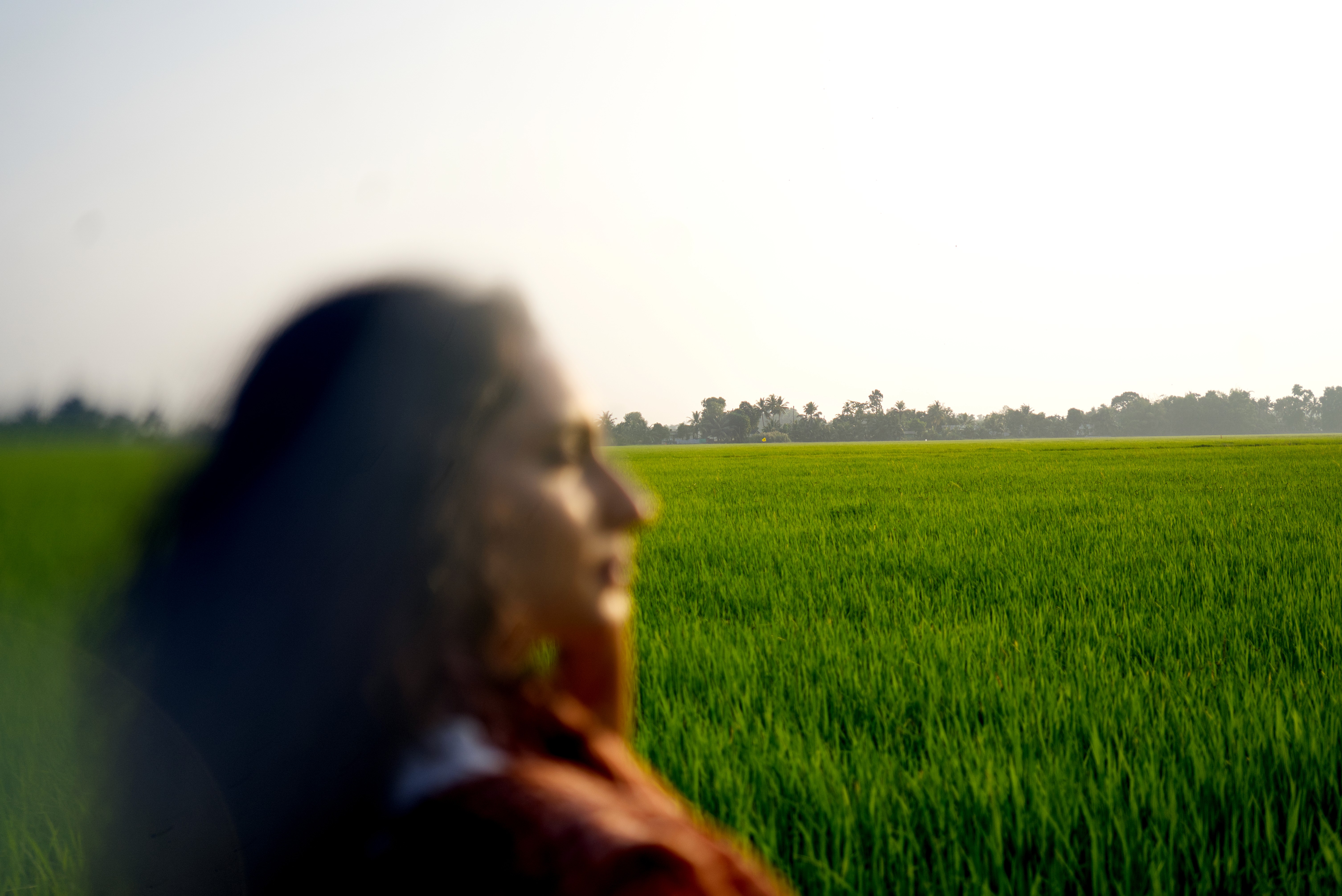 Wellness Escape – Alleppey