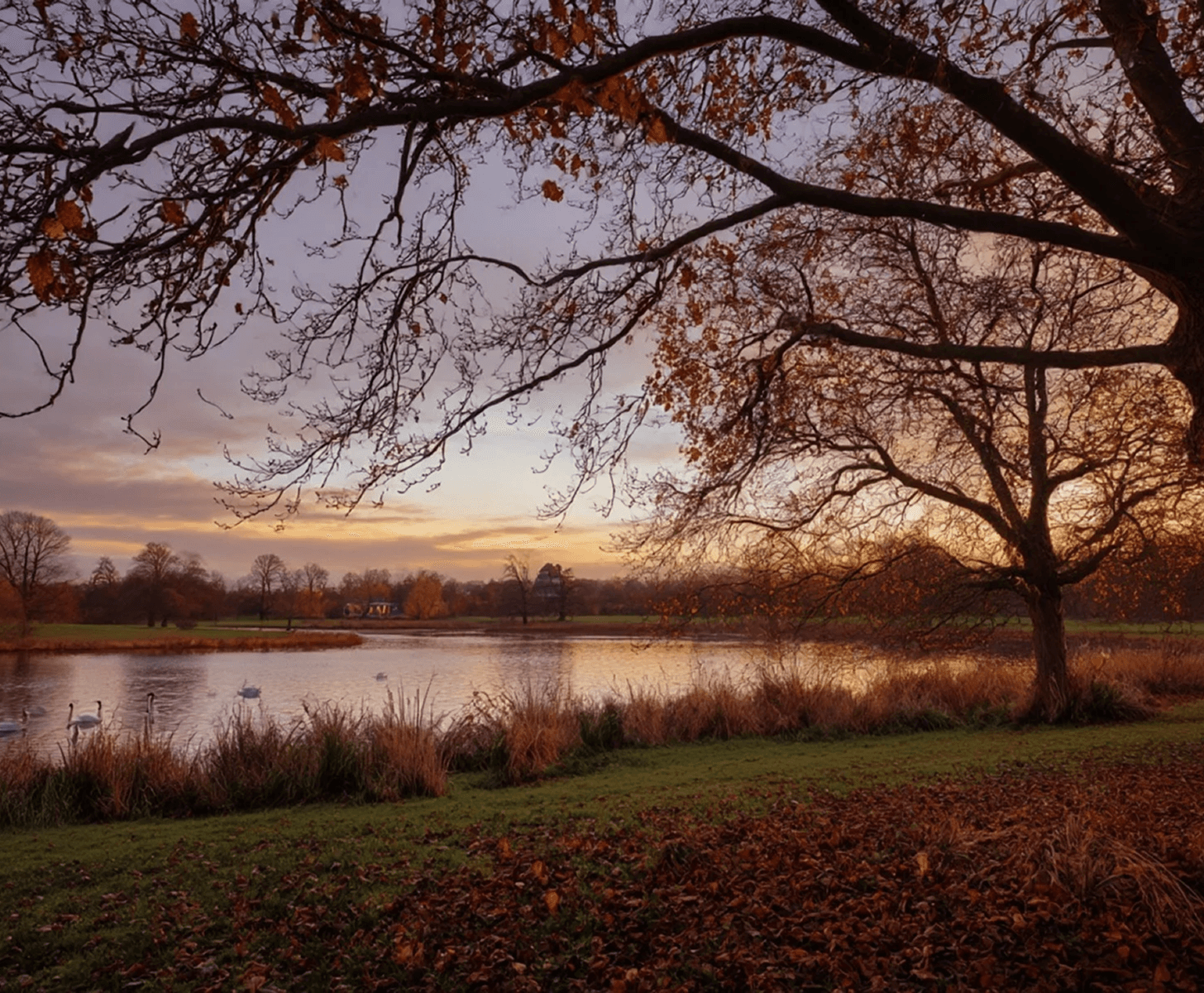 Hovindammen ved solnedgang omgitt av park og trær