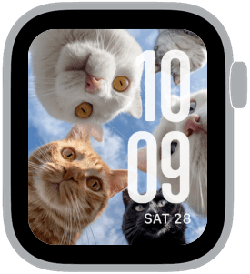 cat crew Apple Watch face preview 4 featuring stylized colors and artwork.