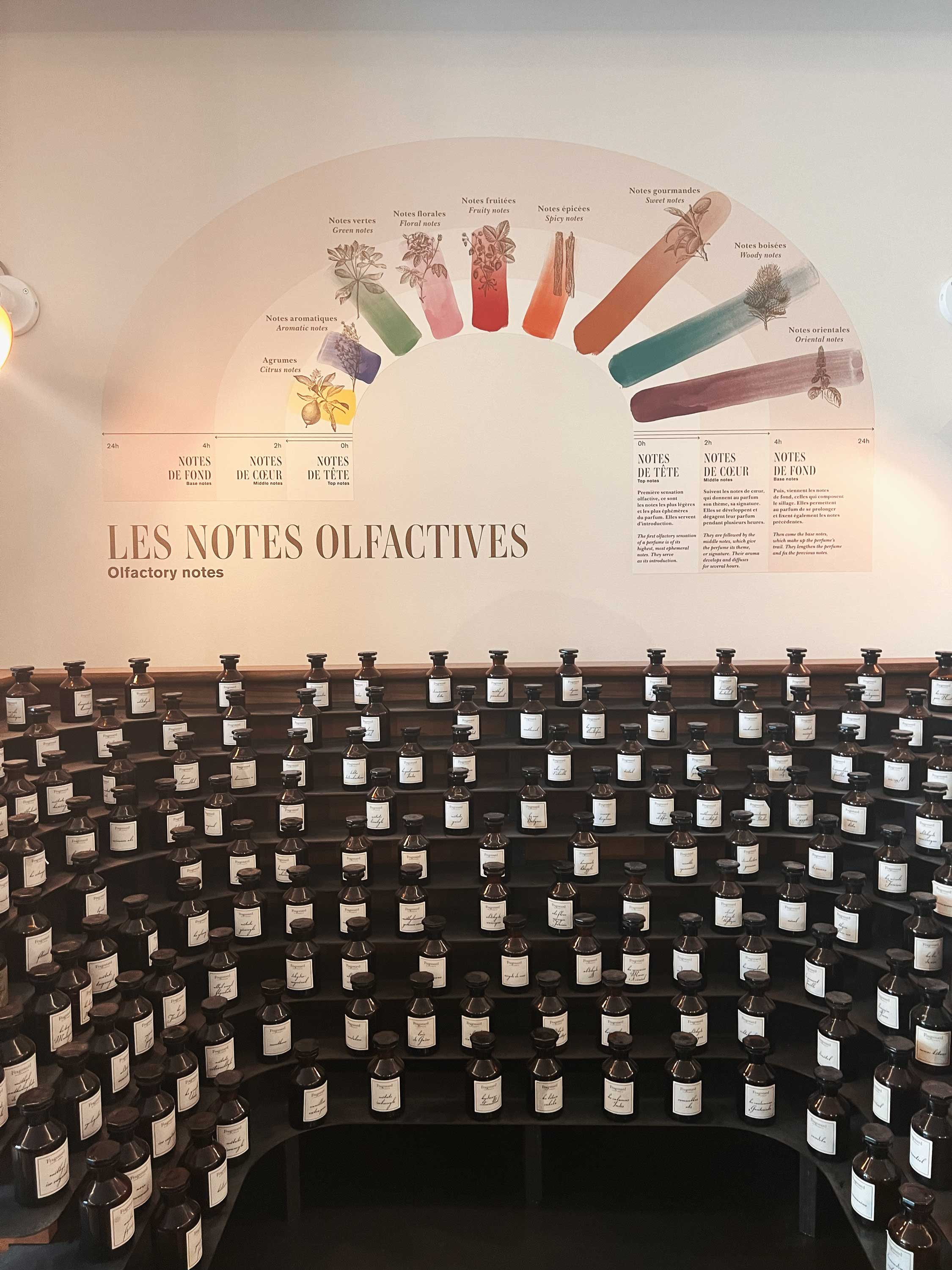 The image featured at the top of the about us page #2