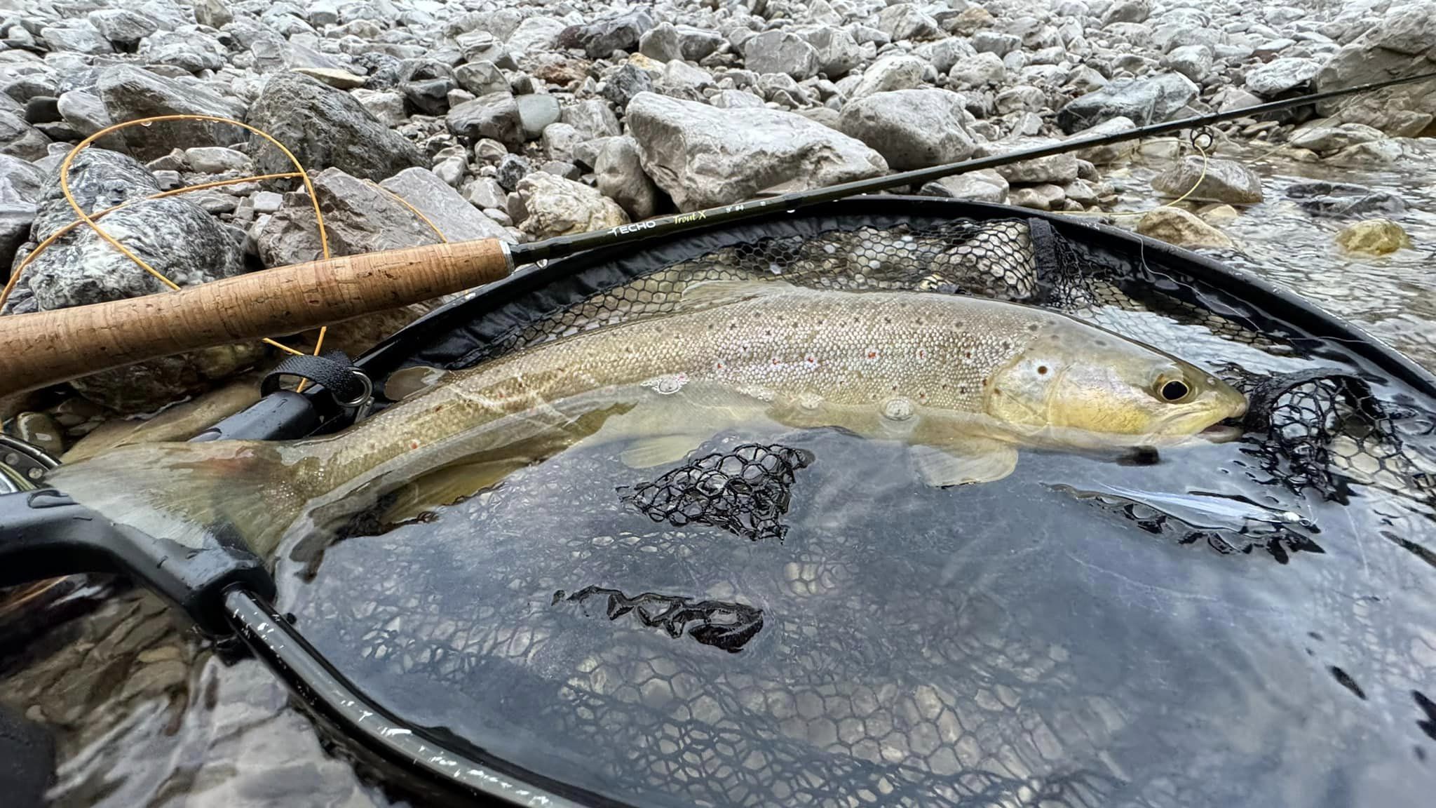 Experience traditional tenkara fishing for brown trout in the Dolomites, northern Italy, near Venice. Enjoy the beauty of alpine streams while learning tenkara techniques from expert guides. Perfect for a tranquil and memorable Italian fishing trip.