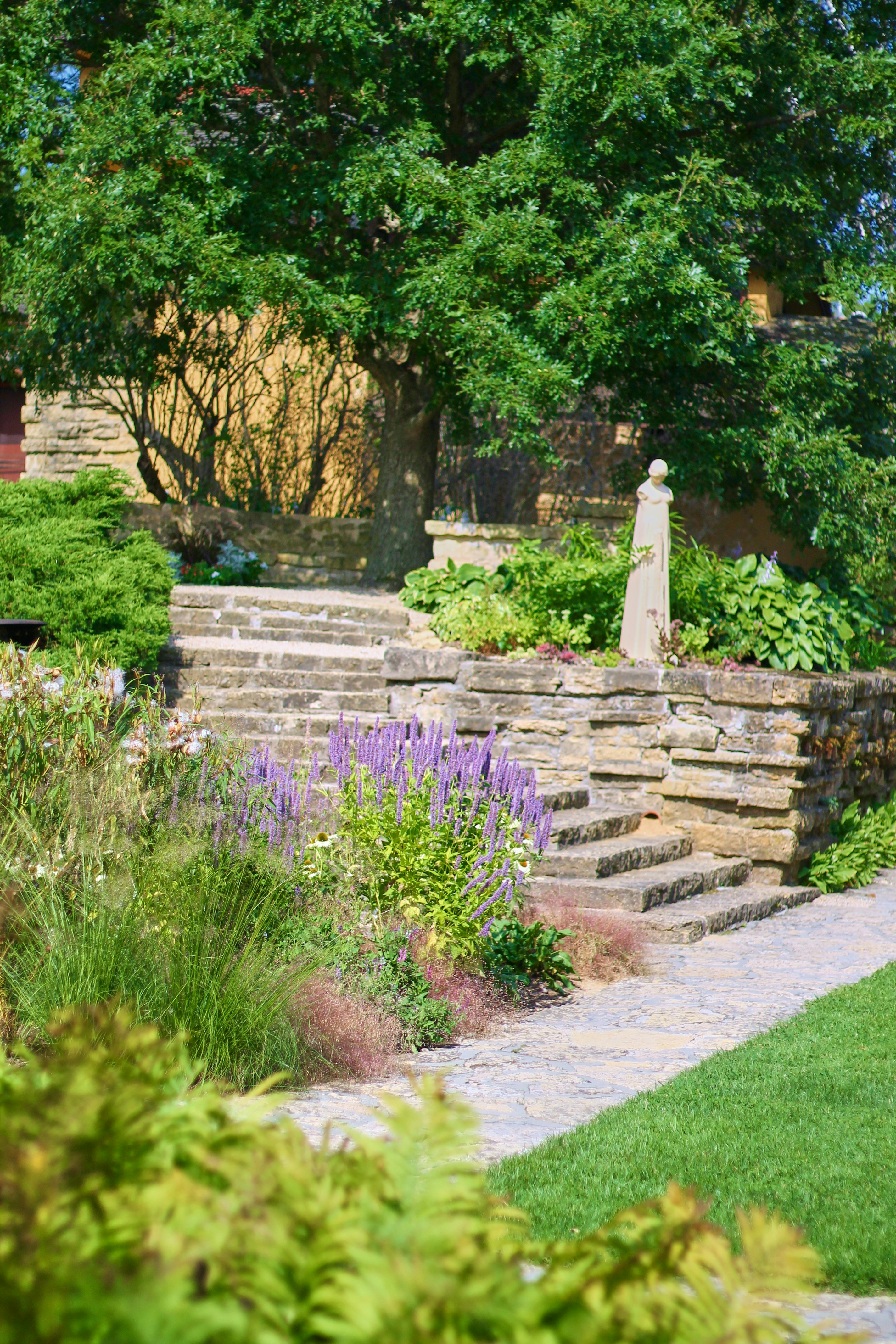 Stone steps ascend through a lush garden with purple flowers.