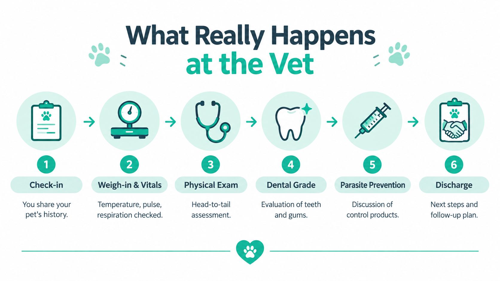 A step-by-step infographic illustrating the six stages of a standard veterinary visit for pets.
