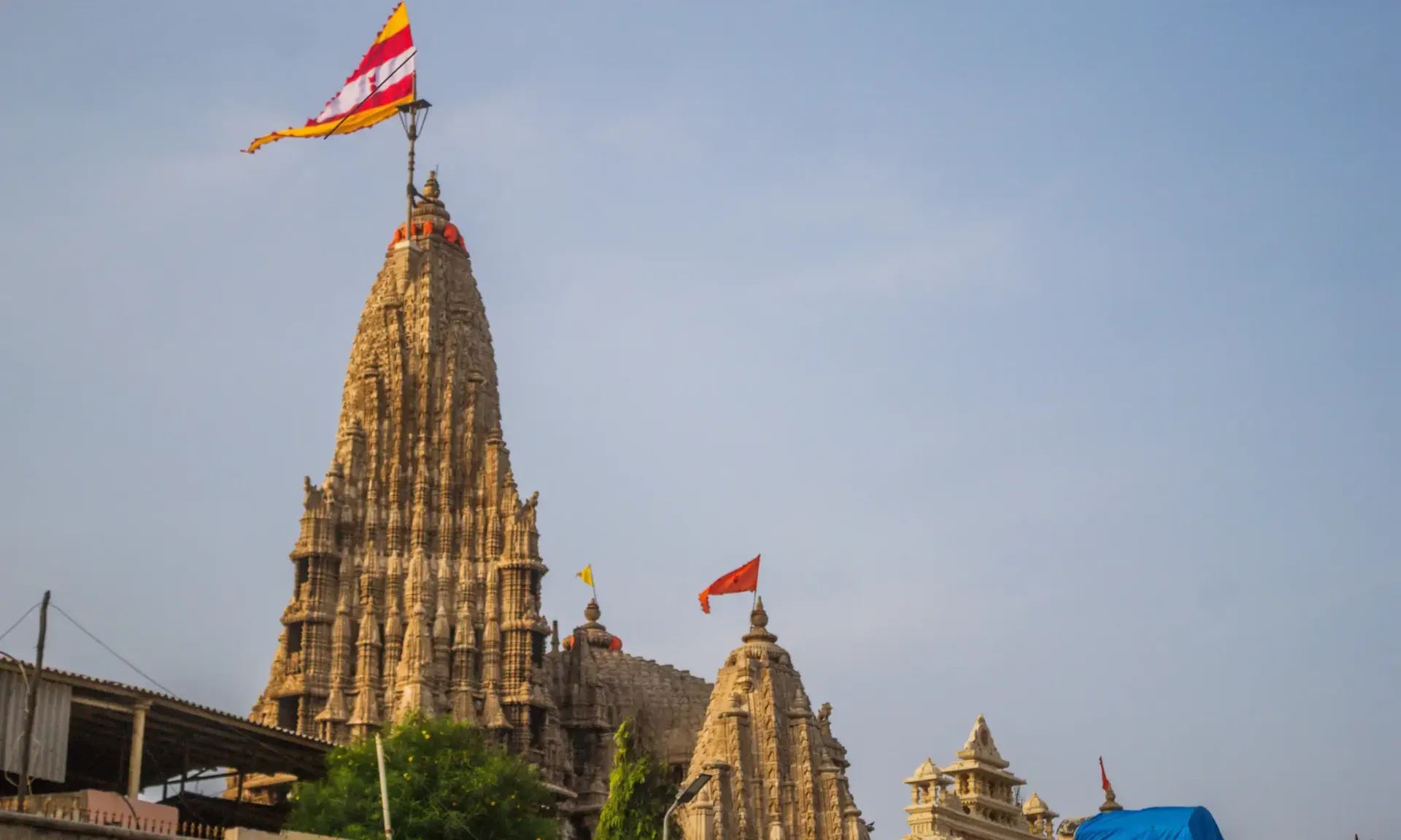 Gujarat Dwarka Somnath Gir Safari