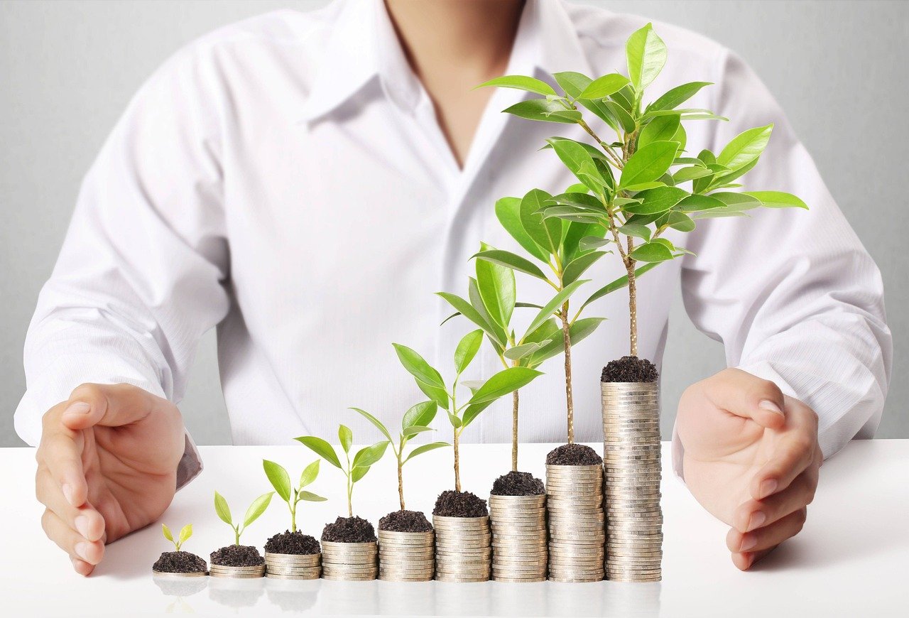 Plants growing on stacks of coins.