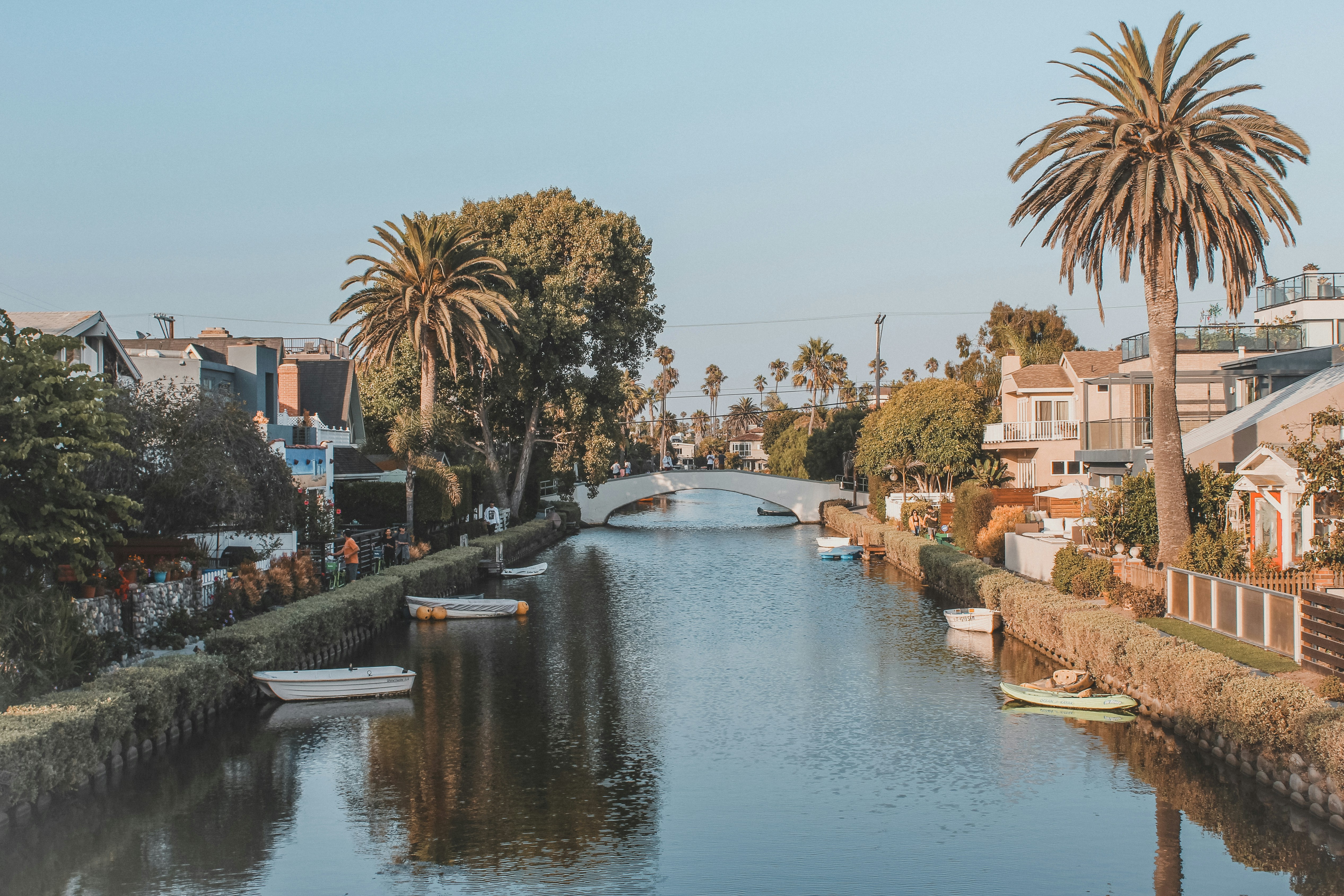 Online Therapy in venice