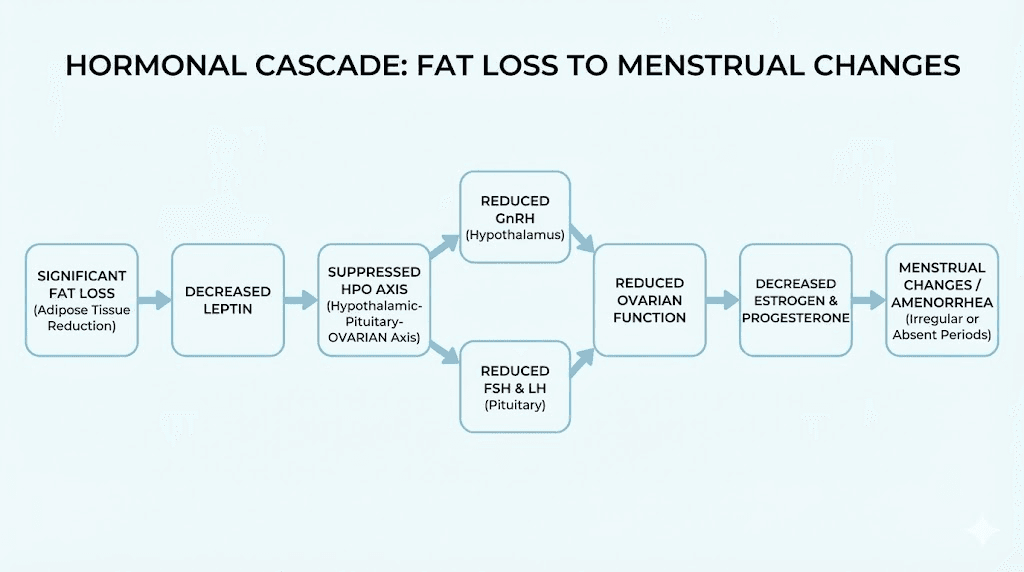 Hormonal pathway showing how tirzepatide weight loss affects menstrual cycle regulation