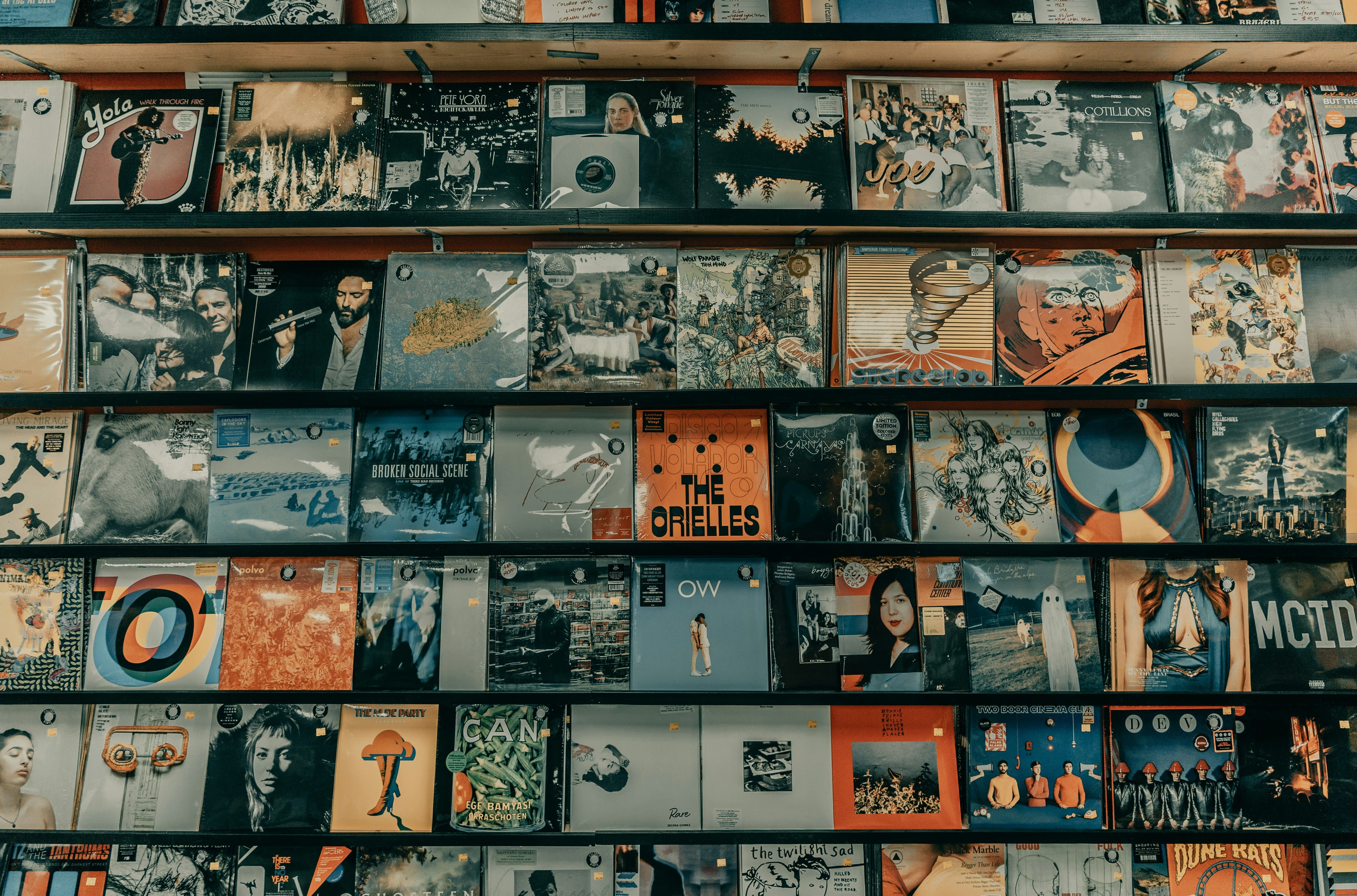Wall of vinyl records displayed in a record store with colorful album covers