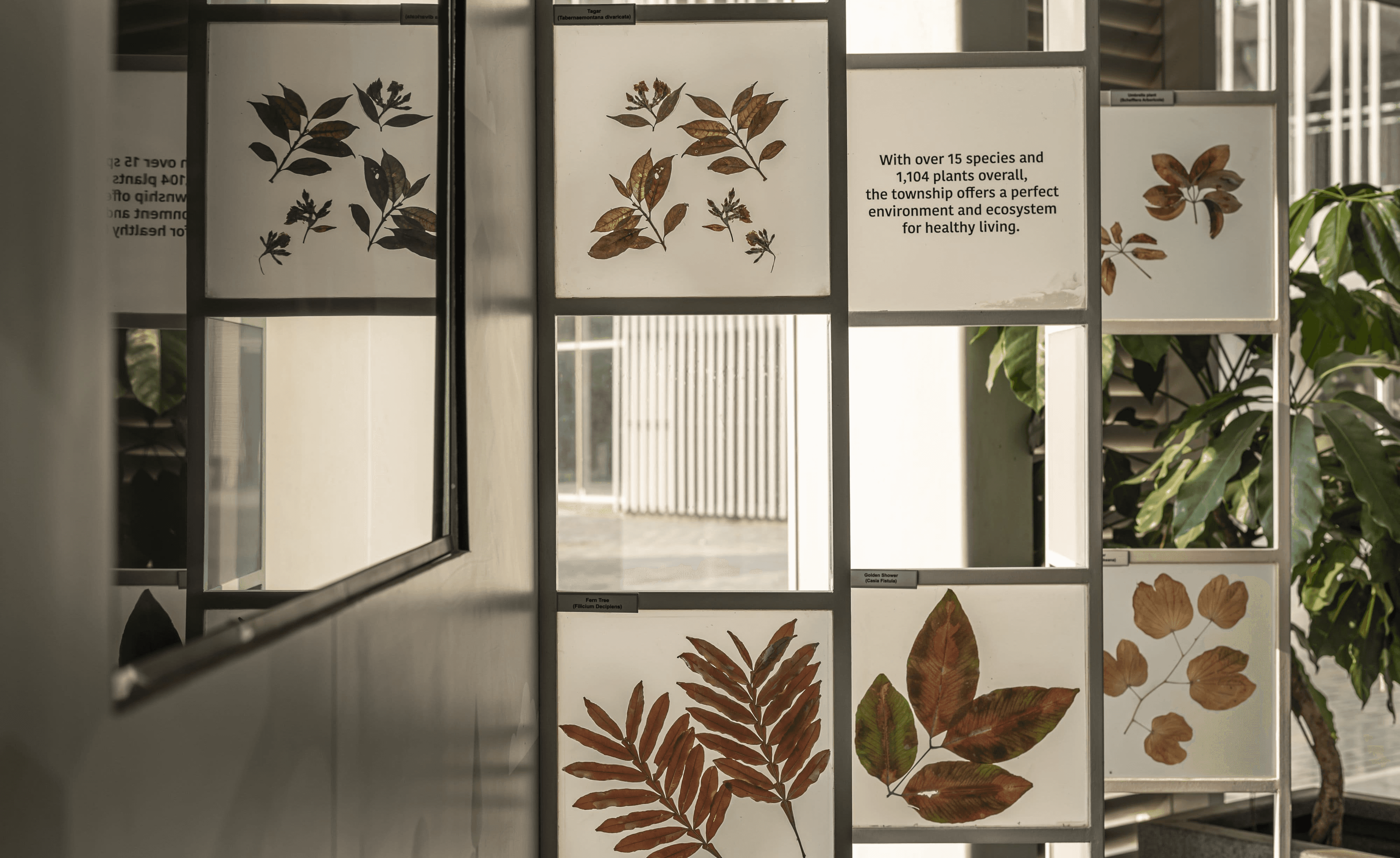 Adhiraj Capital City | Visitor Experience Center