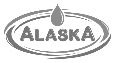 Alaska logo