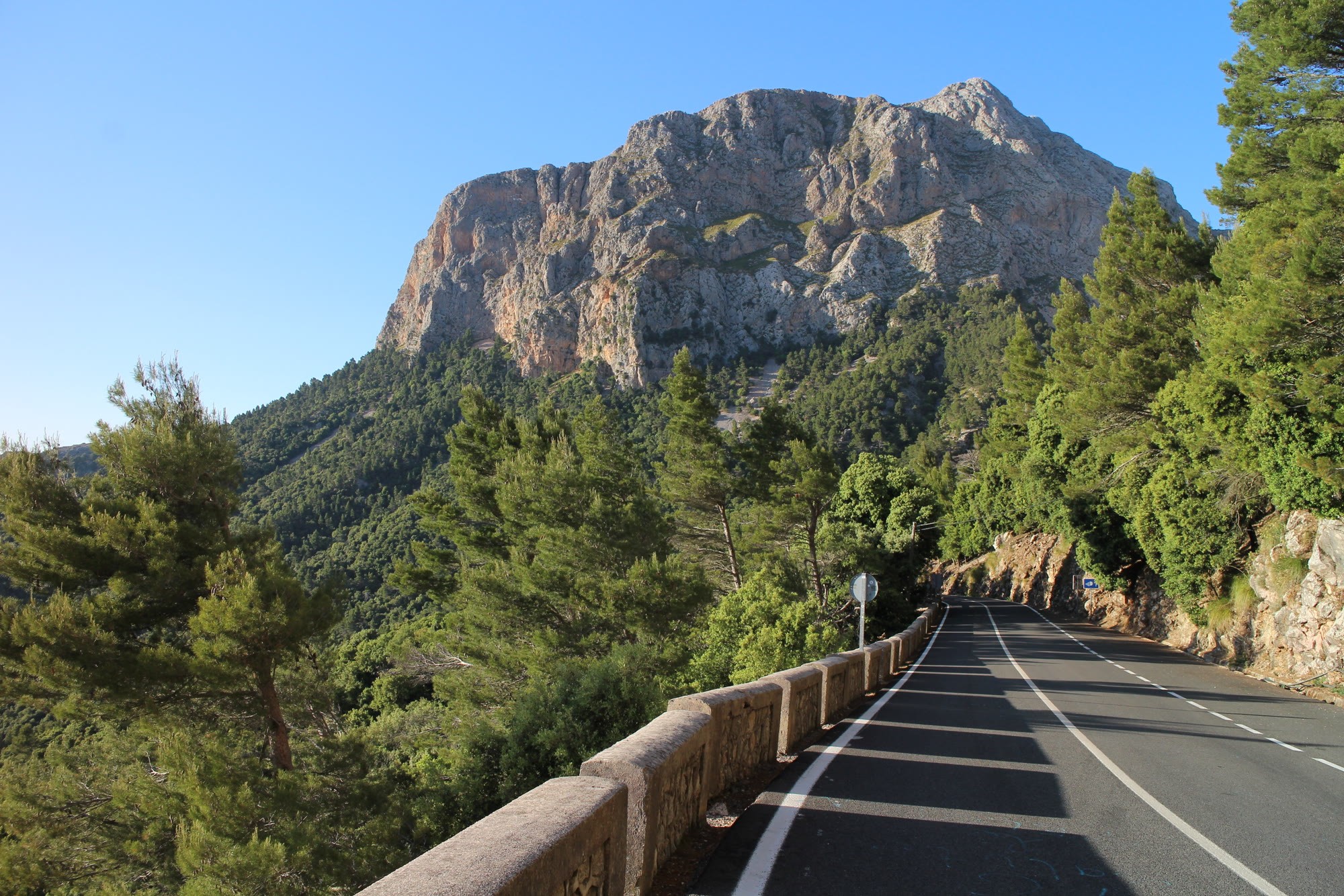 La carretera del valle de Sóller entre pinares, con la Serra de Tramuntana al fondo