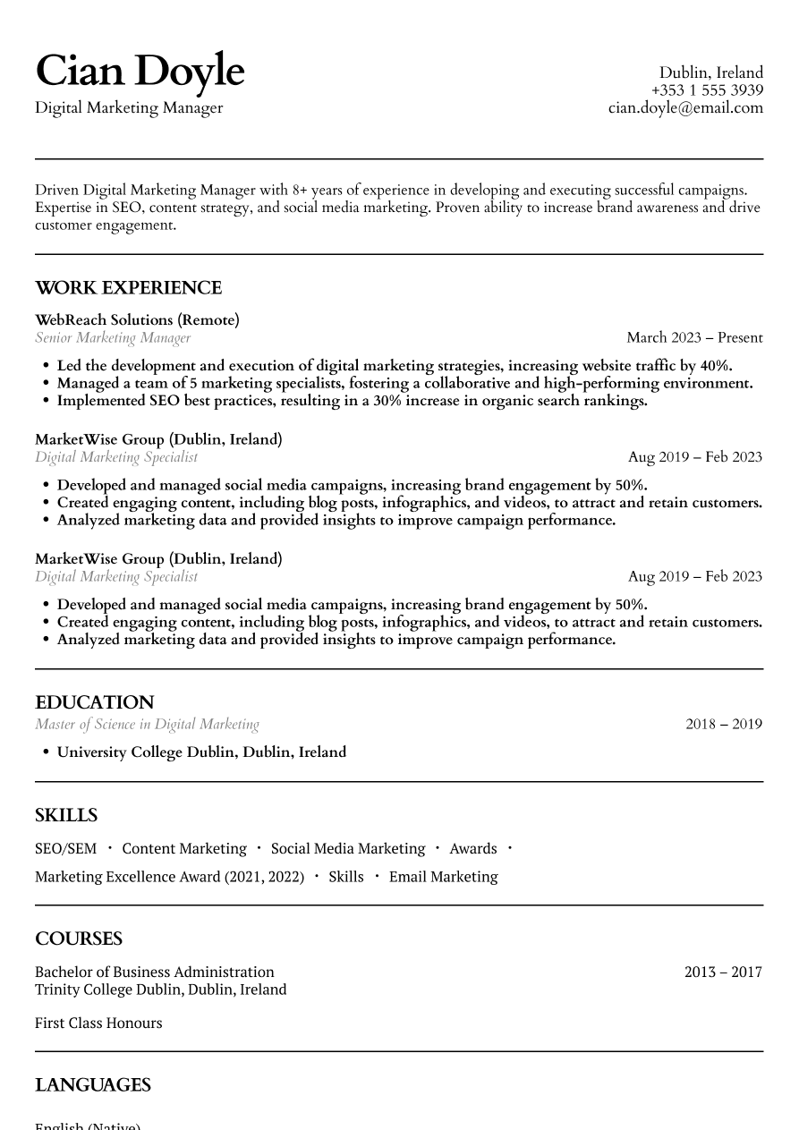 Digital marketing manager resume example
