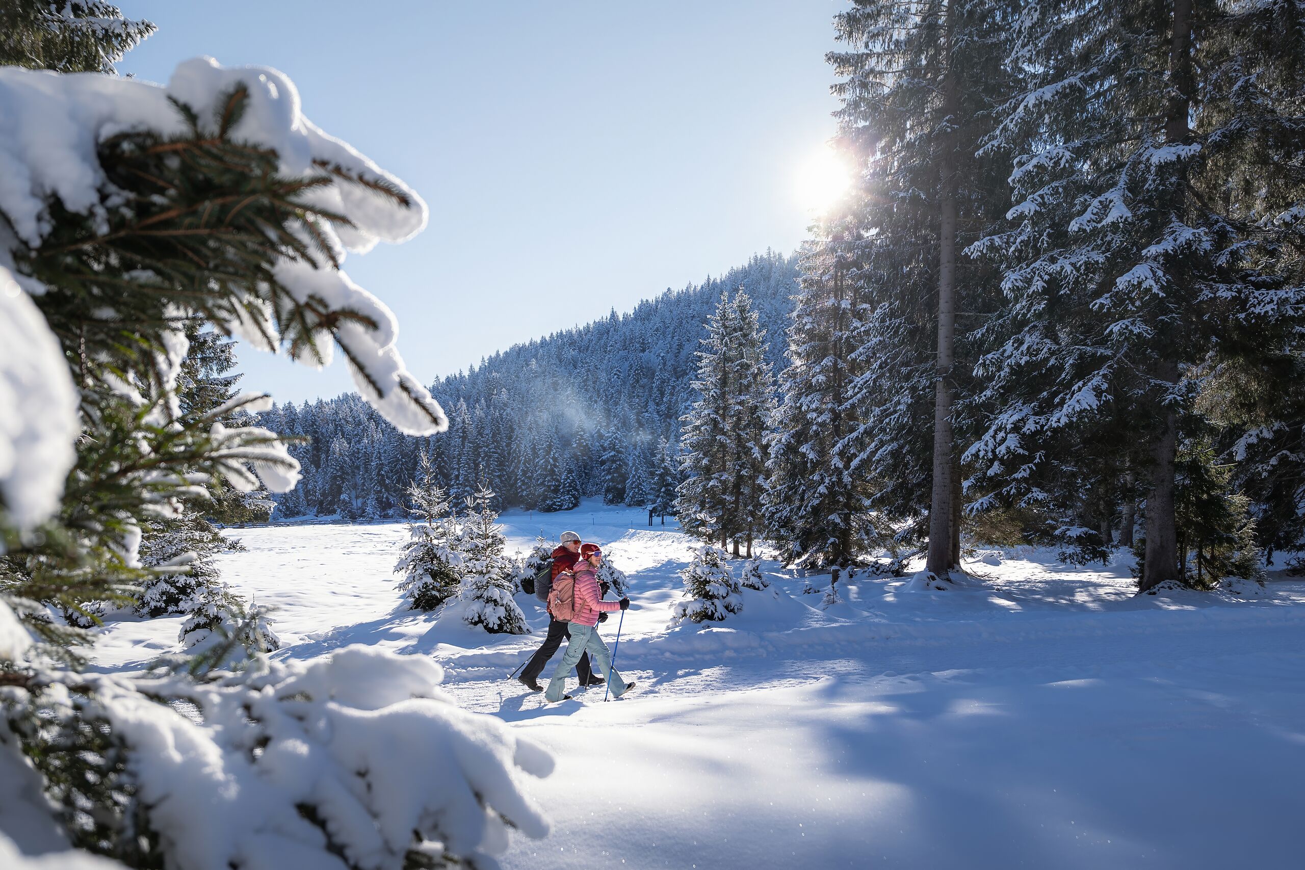 Bett mit Bildern | Das Habitat