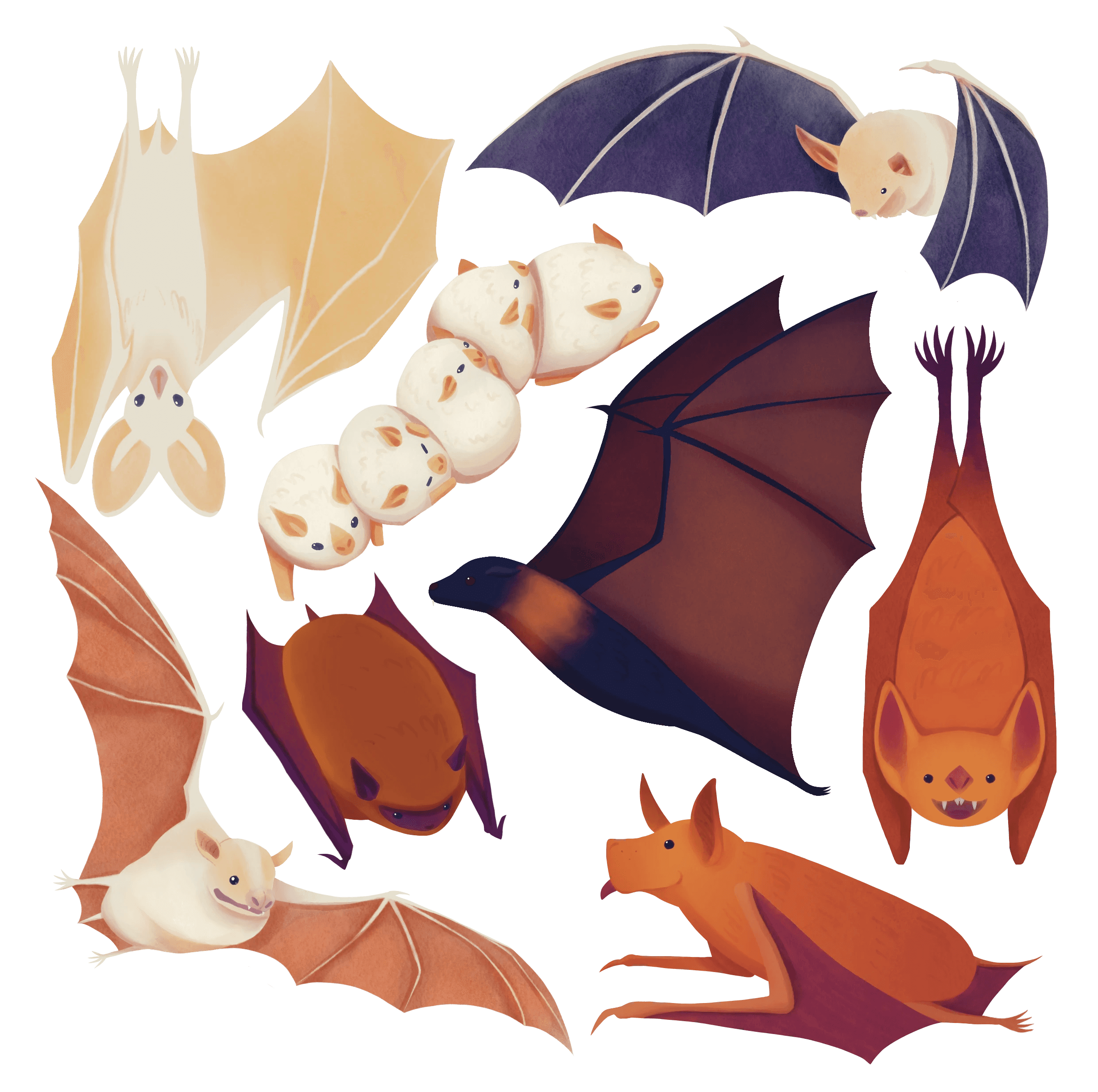 Front cover illustration of 8 different species of bats
