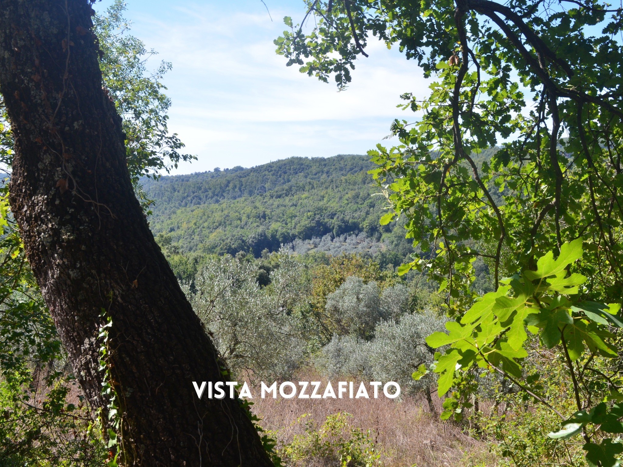 Casale Vista Provenza, Roccatederighi, Maremma Toscana