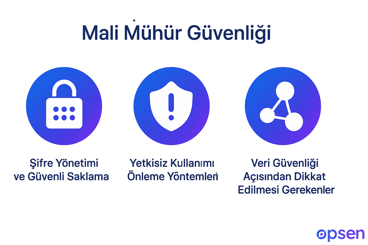 Mali Mühür Güvenliği&nbsp;