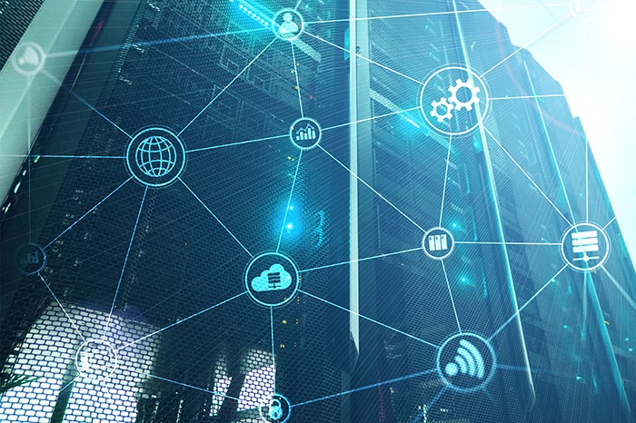 Close-up of evergreen foliage, showcasing vibrant green needles densely packed together.