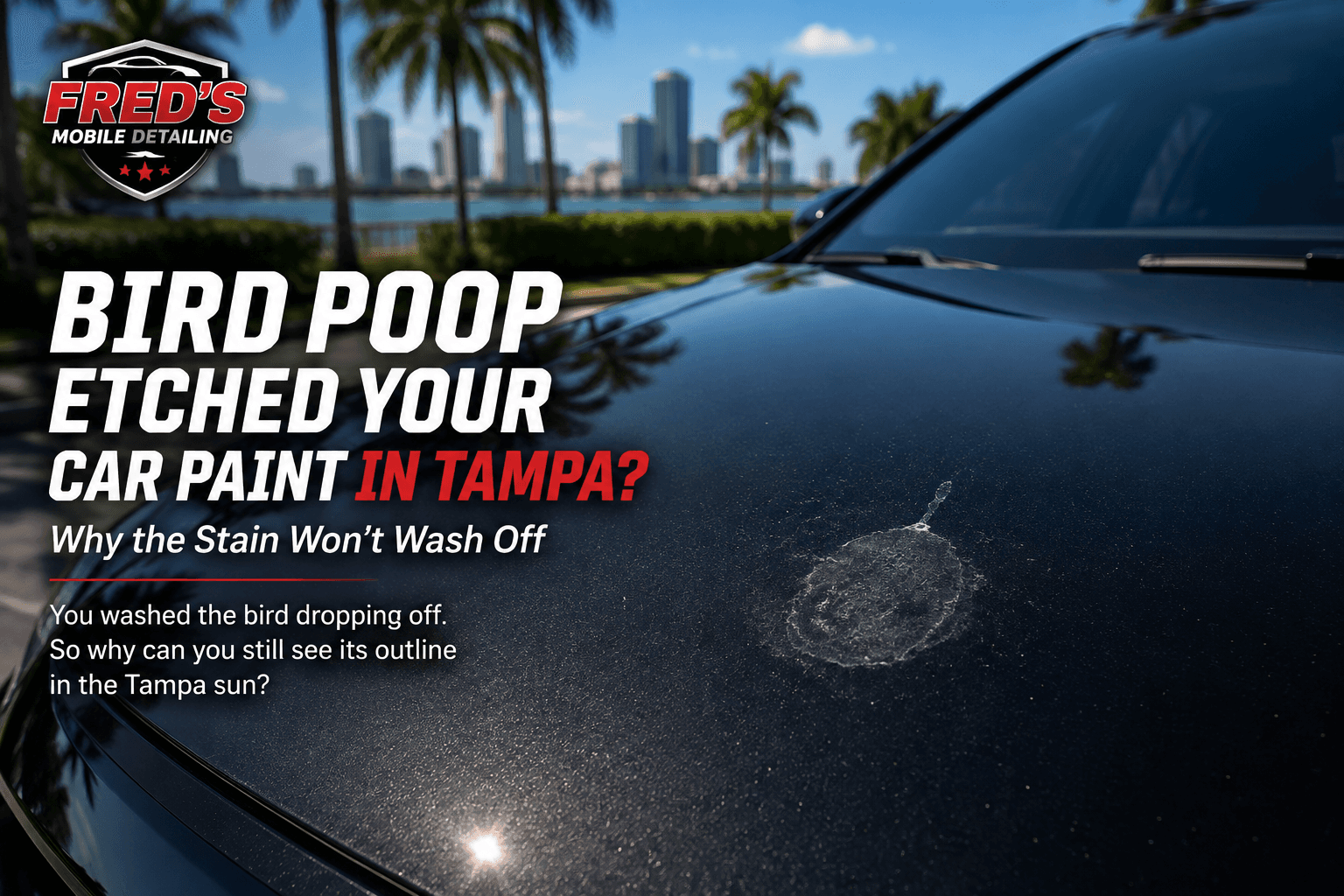 Water spots on ceramic coated car in Tampa Florida