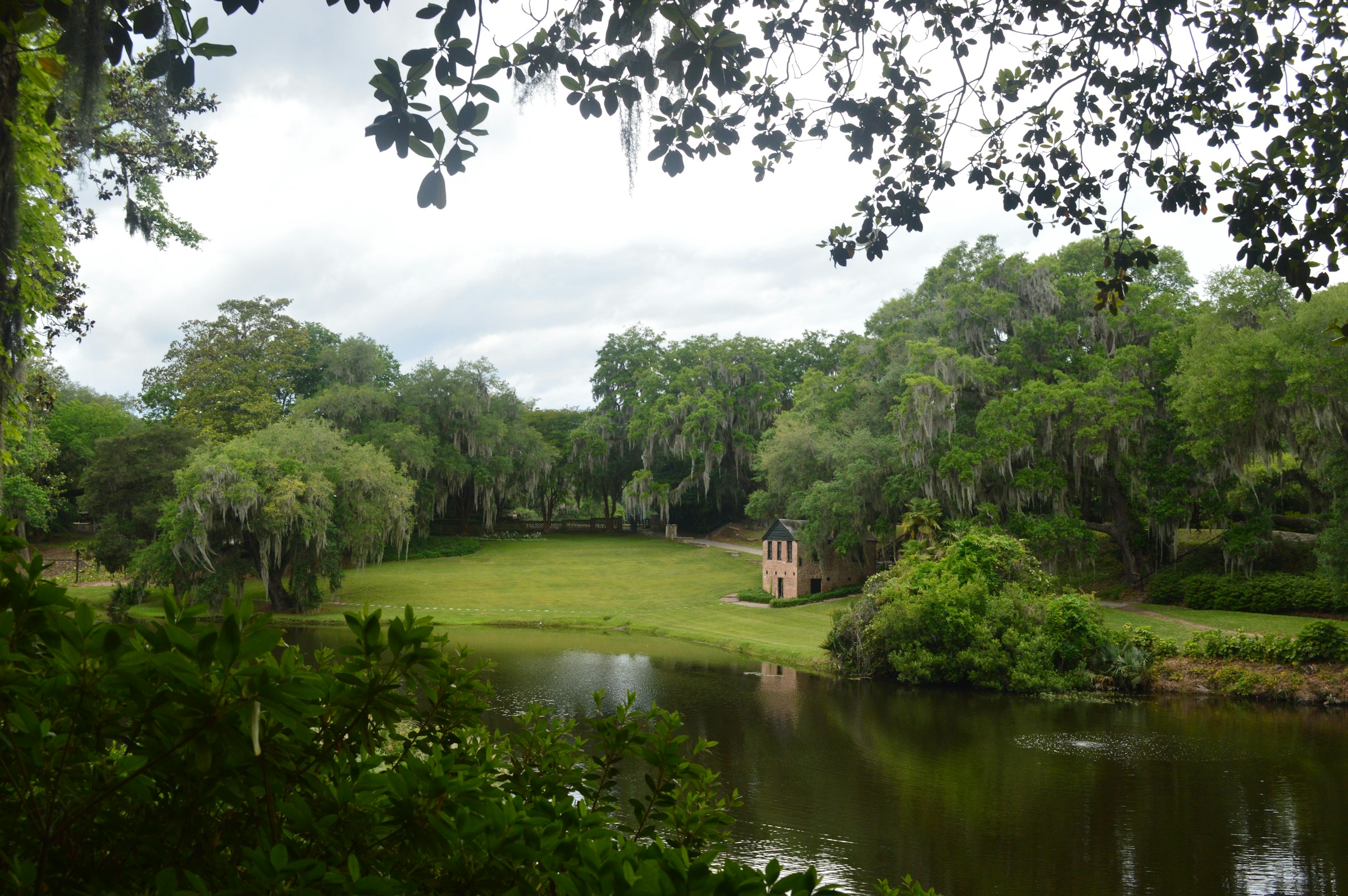 Before: the pond and the low lawn where the mosquitoes bred