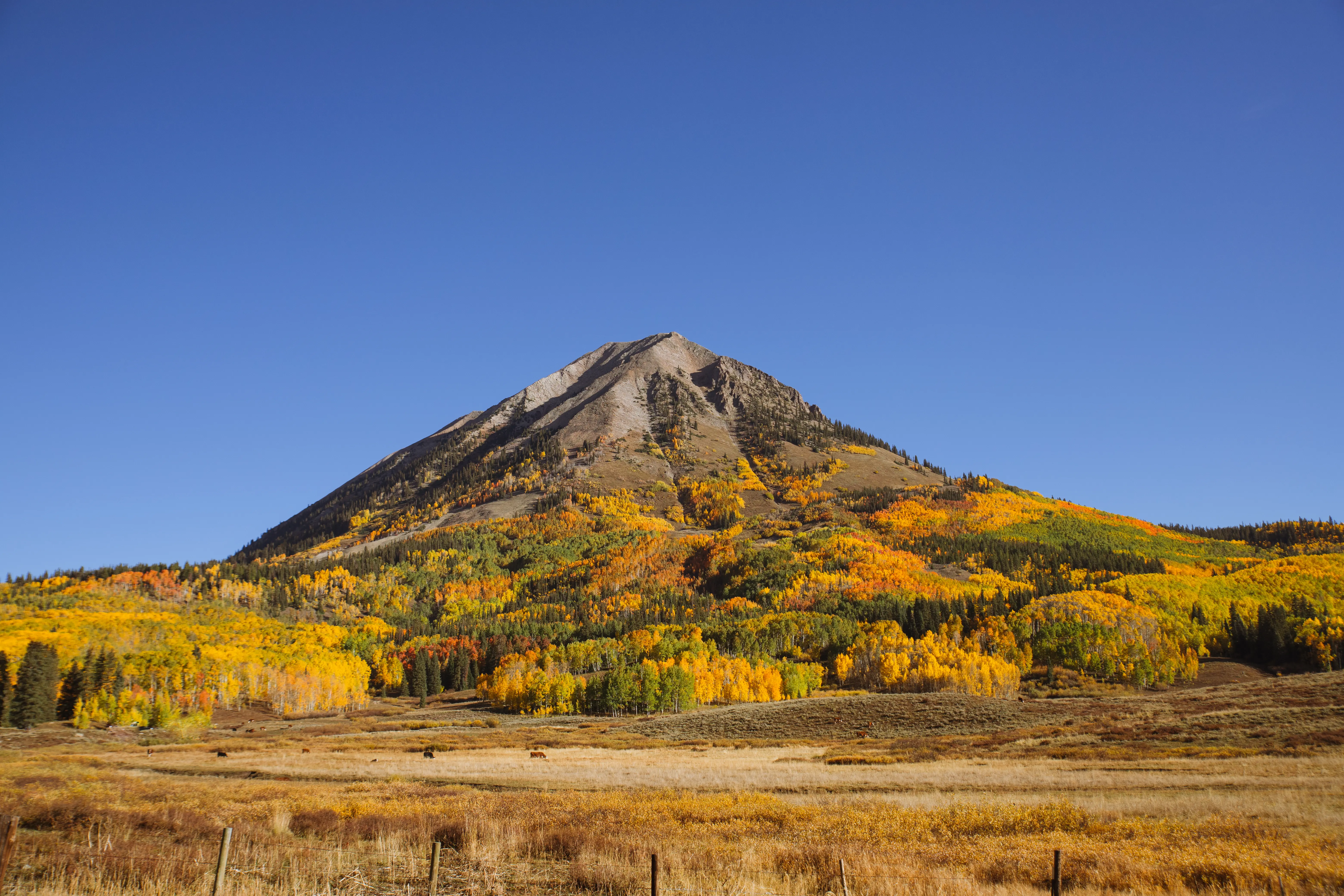 Streetside billboard with flyposters of the Batch.Works brand and illustrations