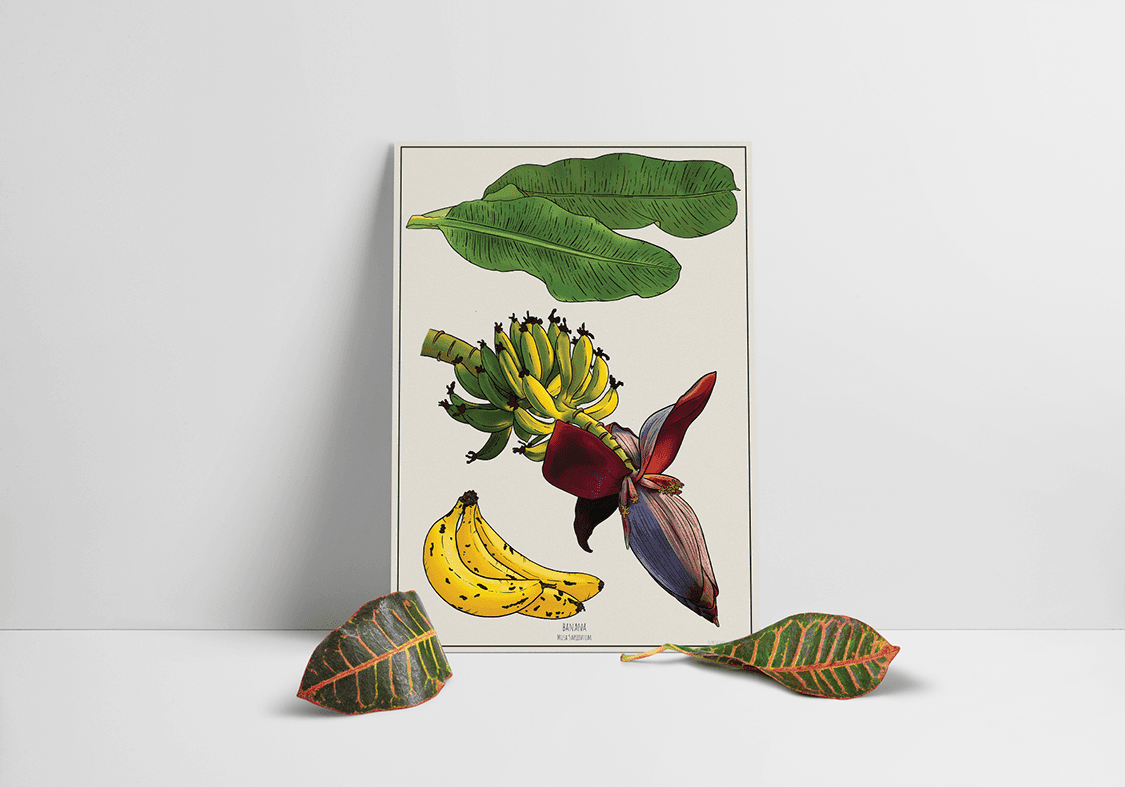 The image featured at the top of the about us page #2