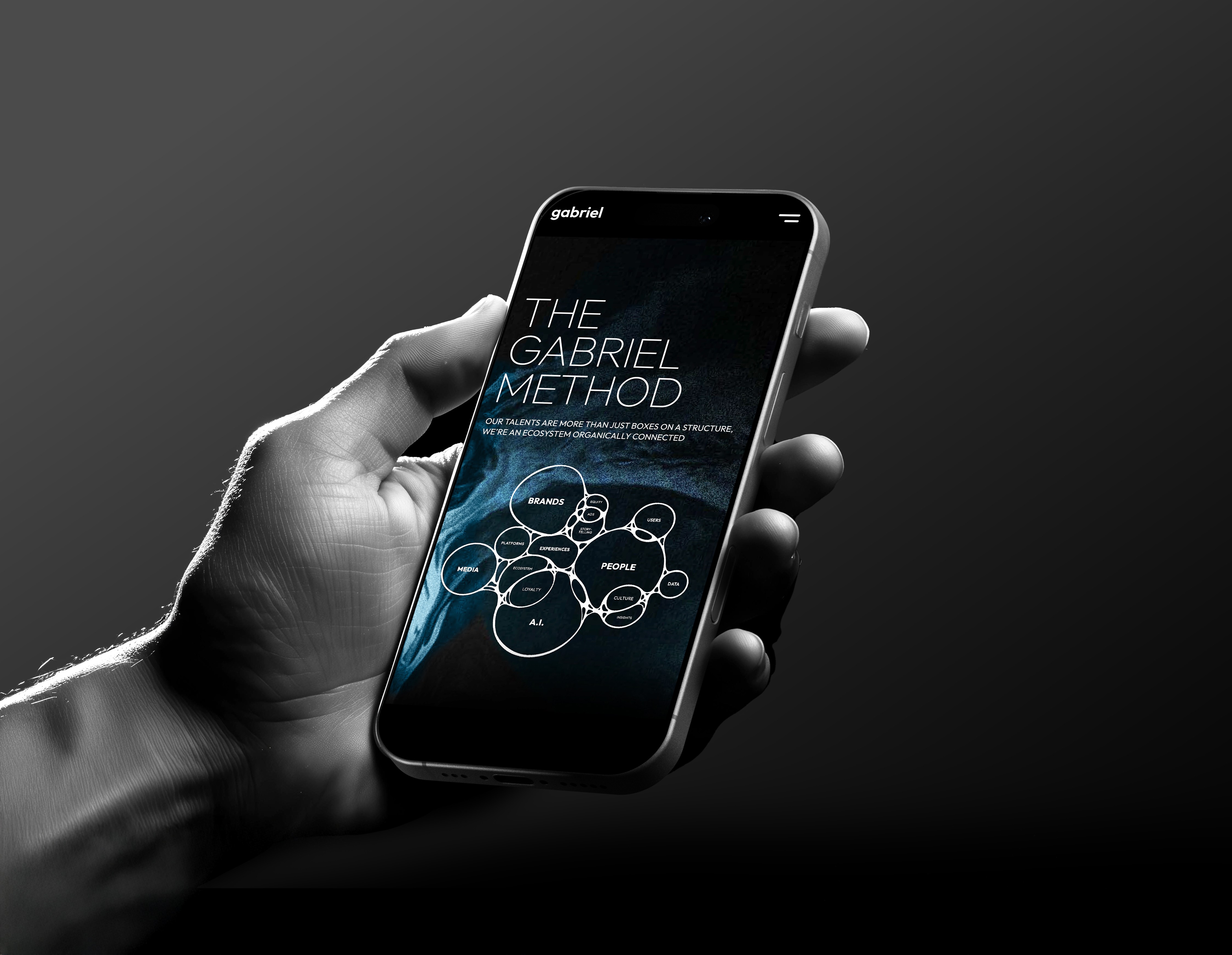 Gabriel Website Mobile Responsive Image
