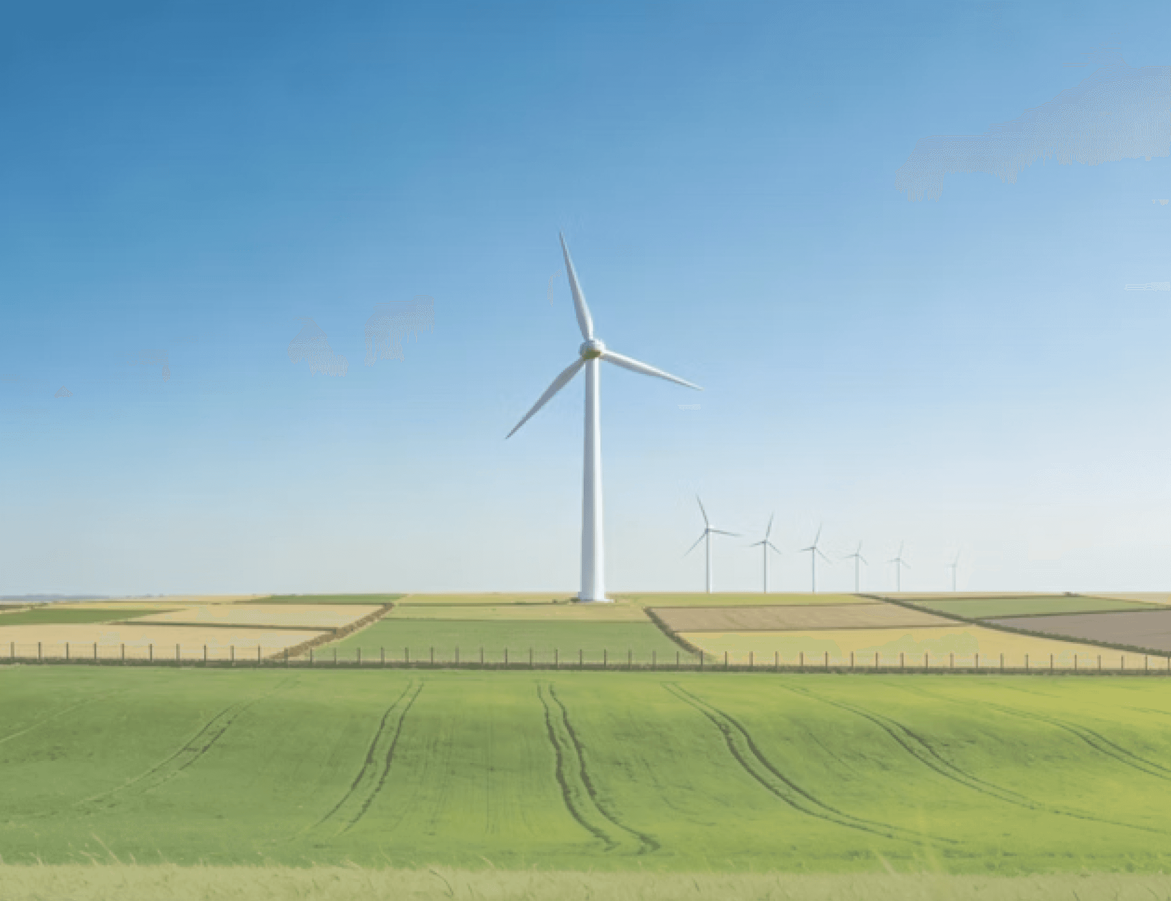 Wind turbines in a field with a clear blue sky