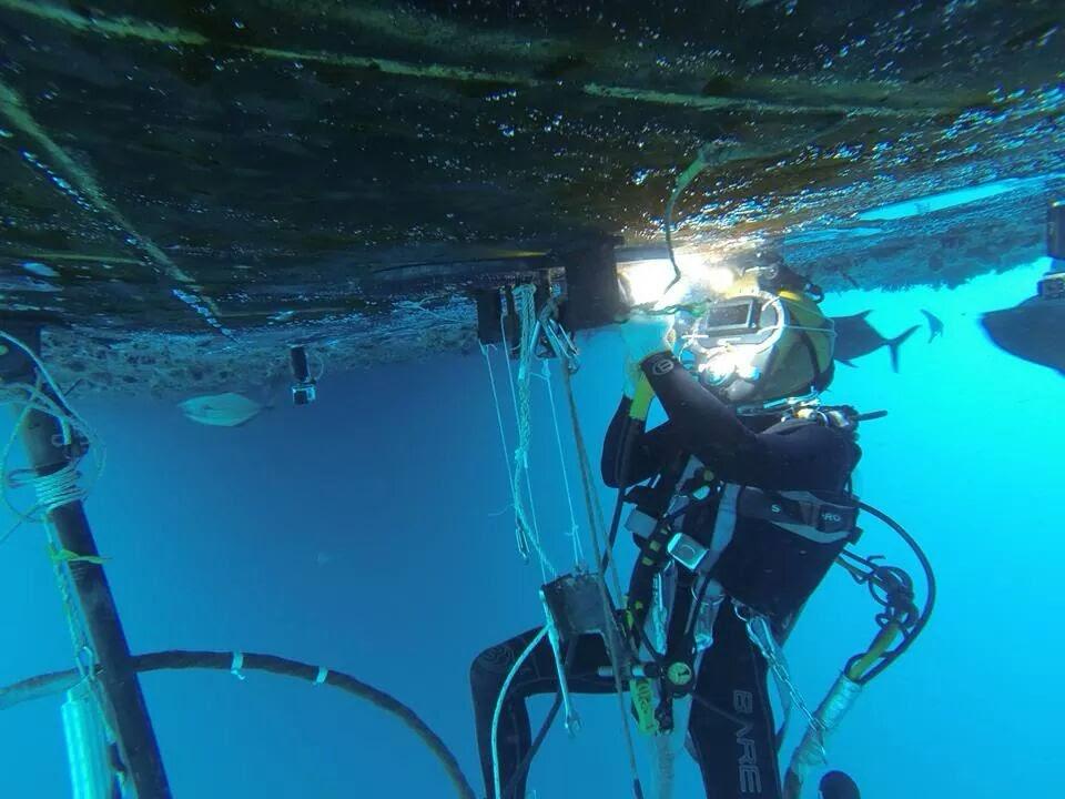 photography of two persons underwater