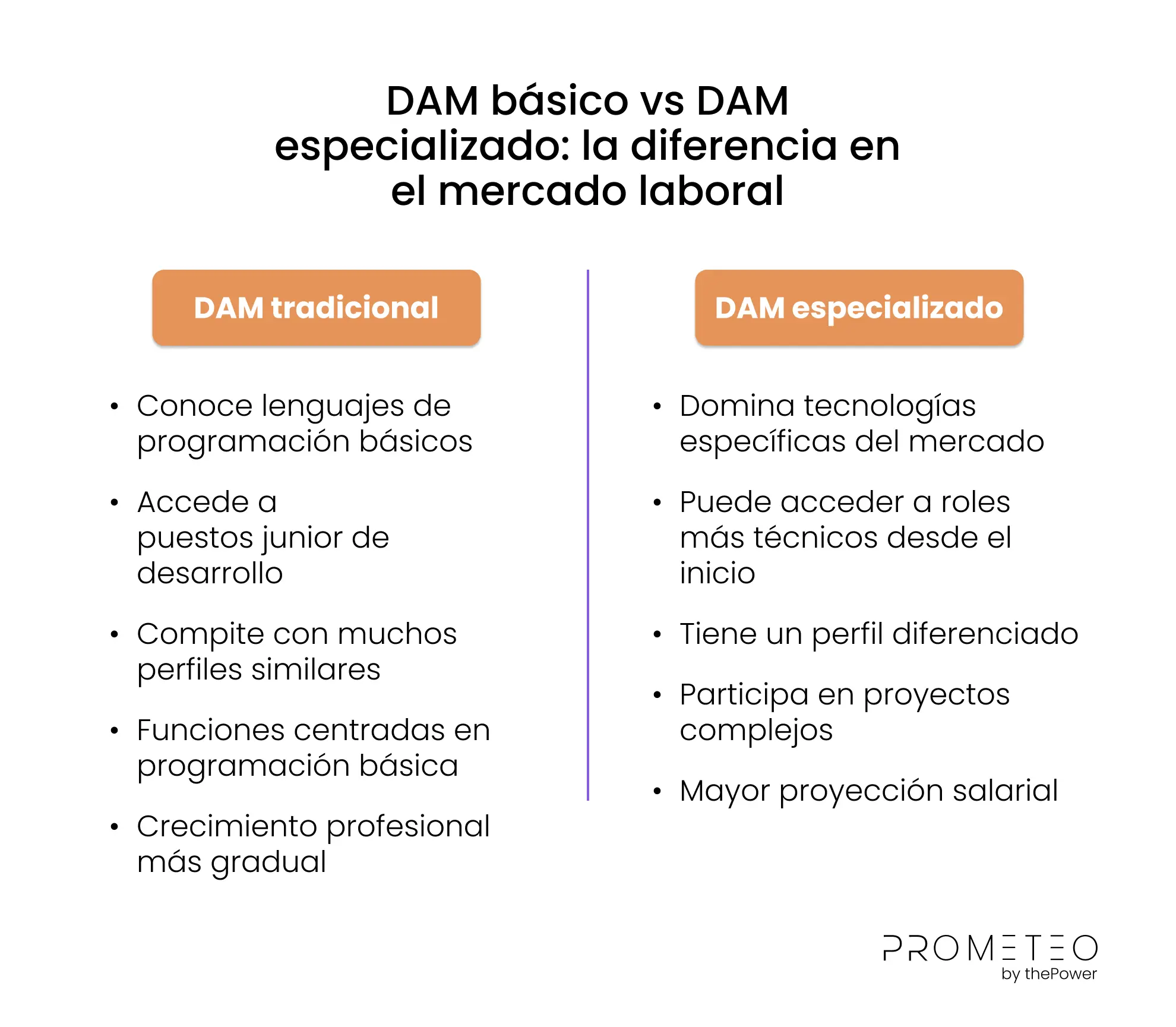 DAM básico vs DAM especializado: la diferencia en el mercado laboral