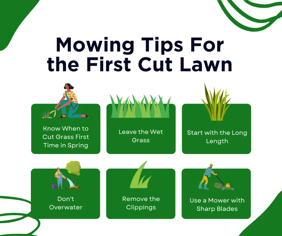 An infographic on mowing tips for first cut lawn