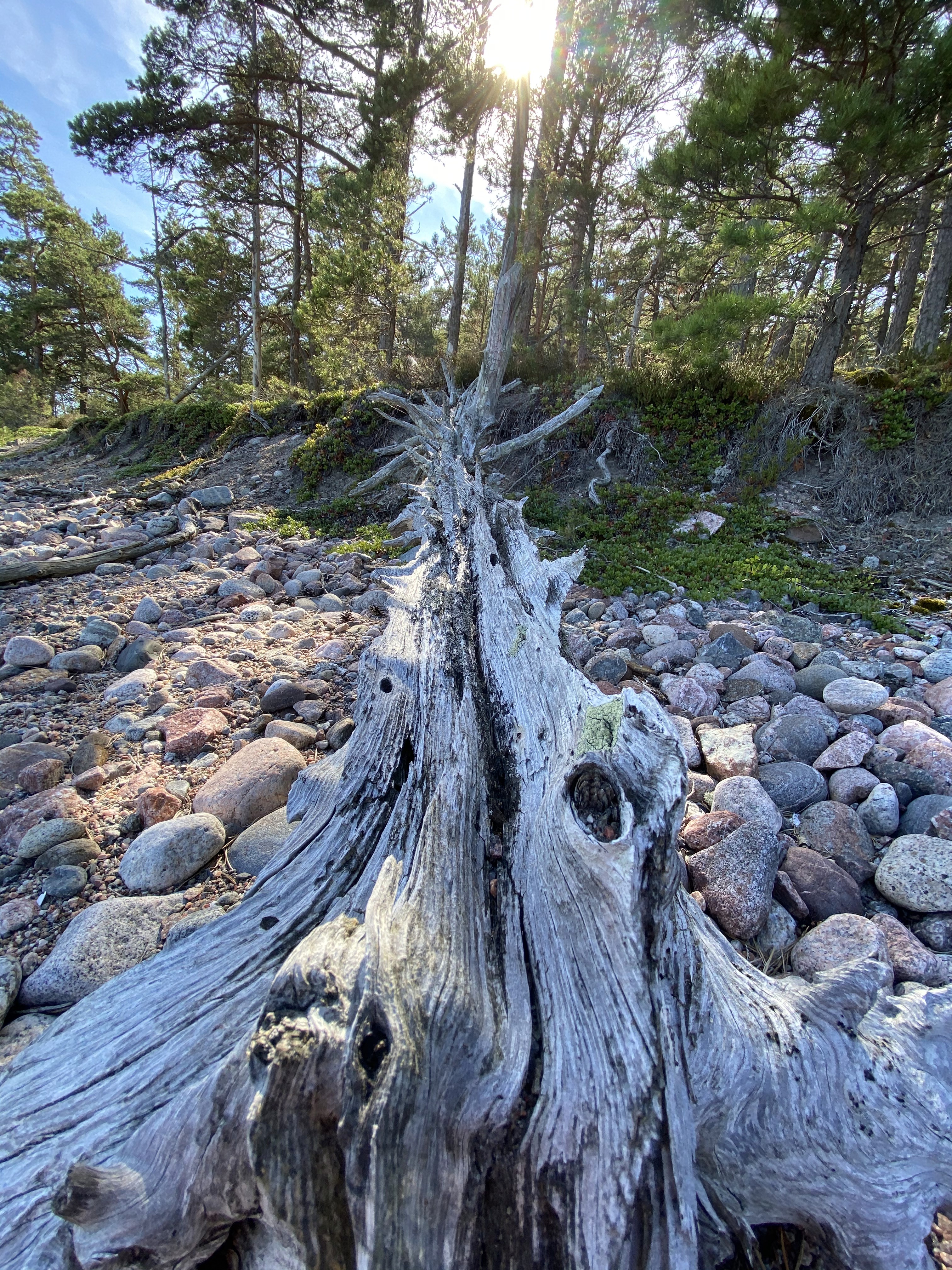 Founder