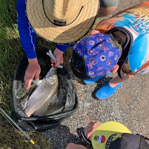 Wongan Hills 的 Hook-A-Barra 垂钓和农场游门票