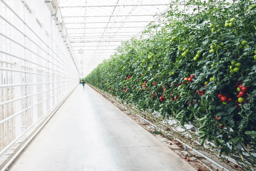 Smart farming installation