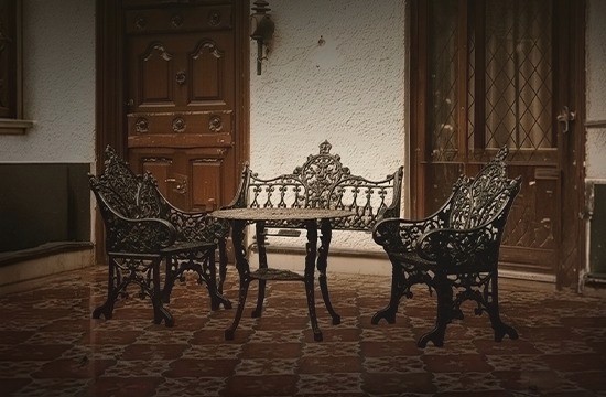 Detail of coniferous tree